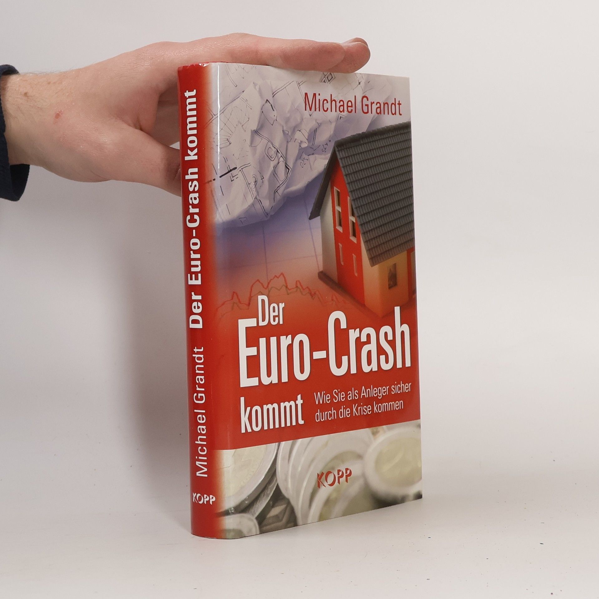 Der Euro-Crash kommt