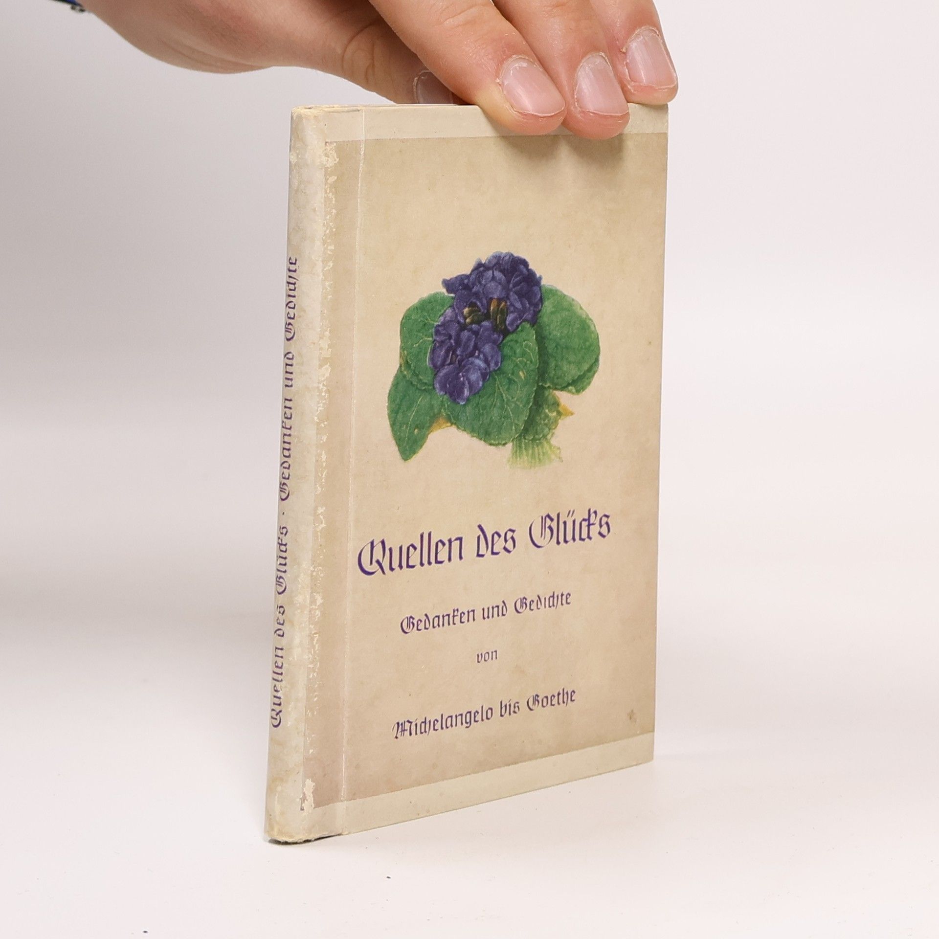 Kolektiv autorů Quellen des Glücks