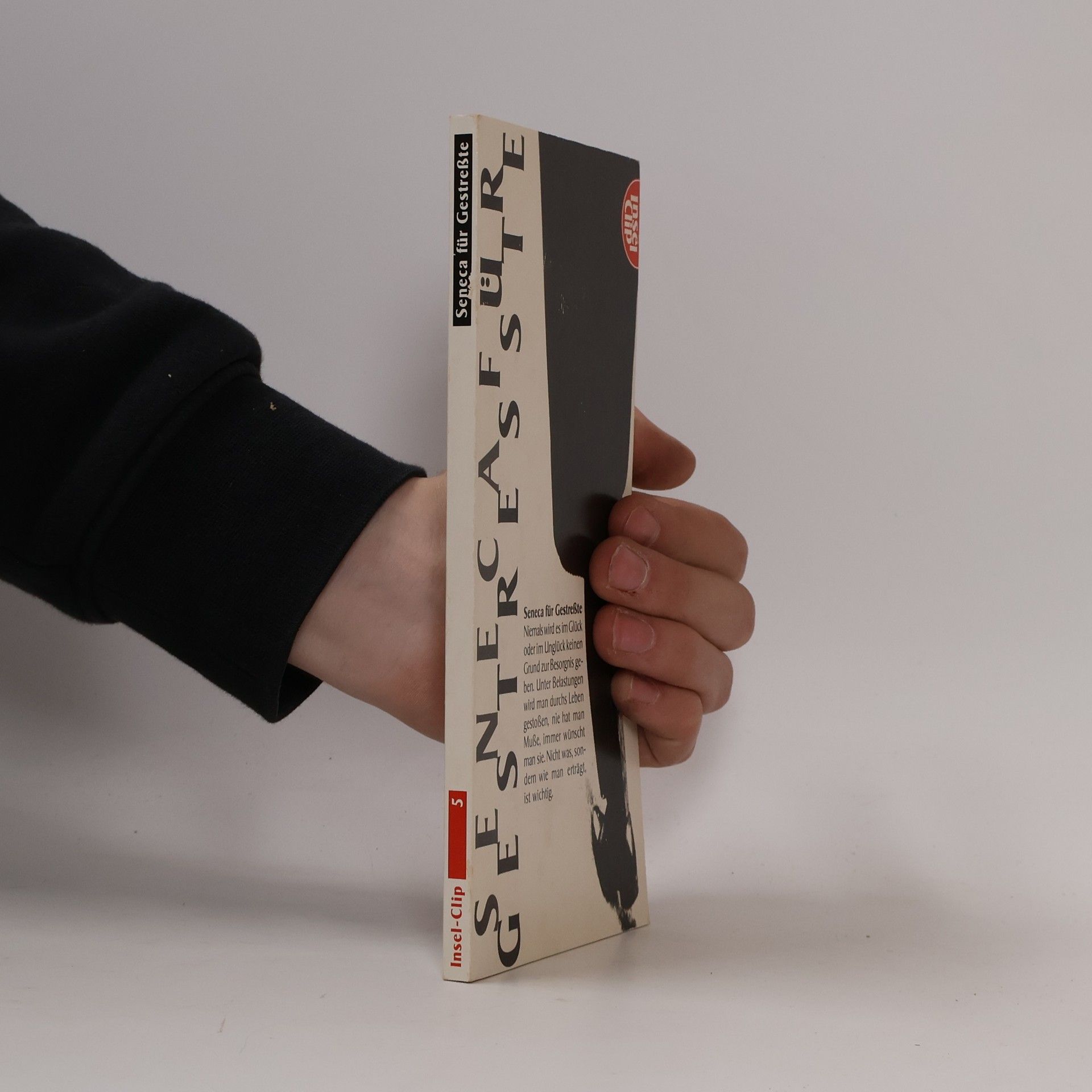 Lucius A. Seneca Seneca für Gestresste