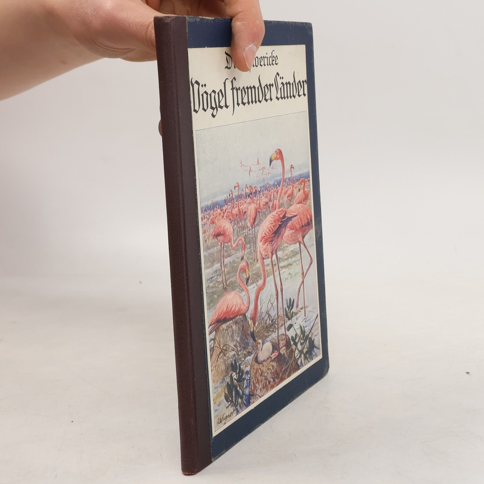 Vögel fremder Länder