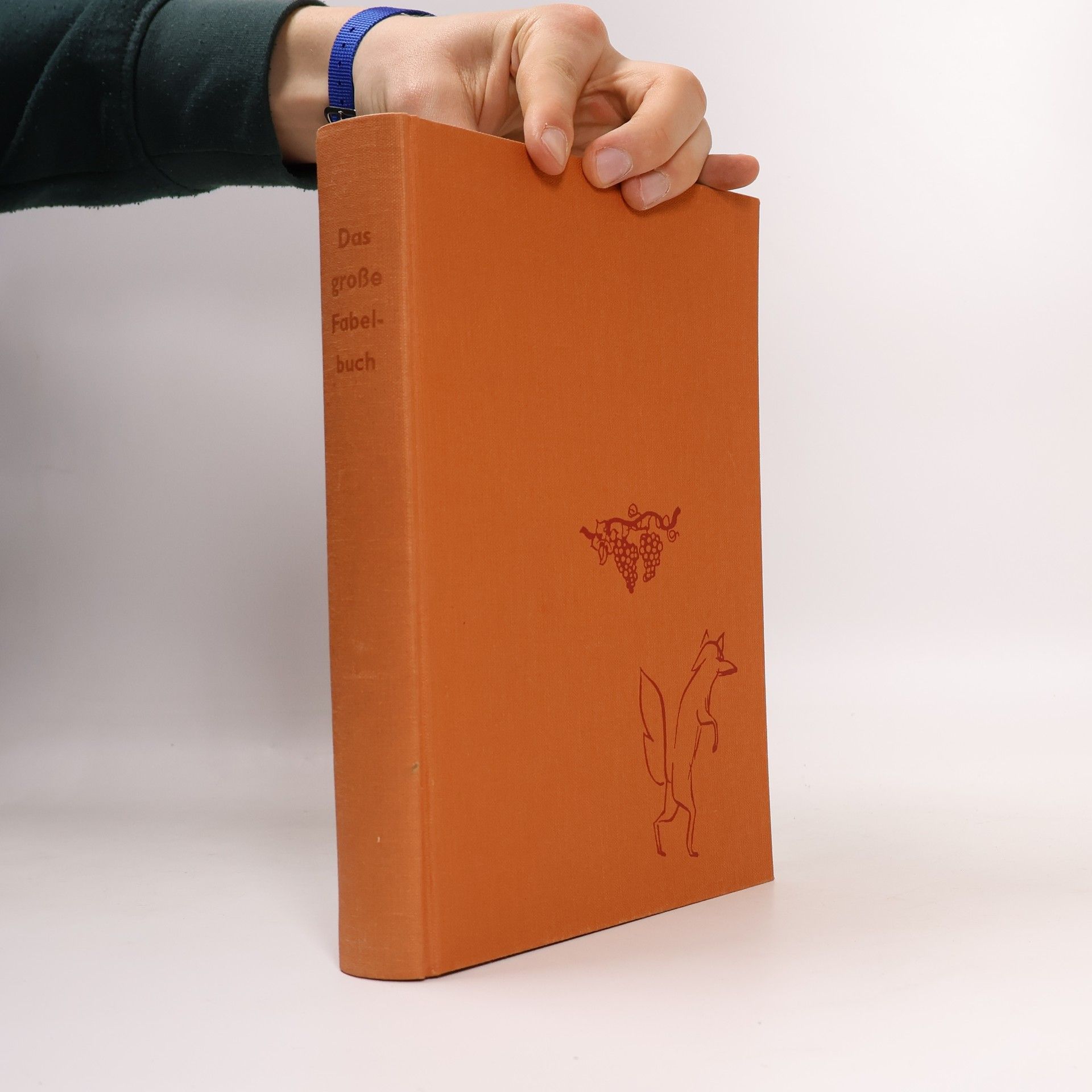 Kolektiv autorů Das grosse Fabelbuch