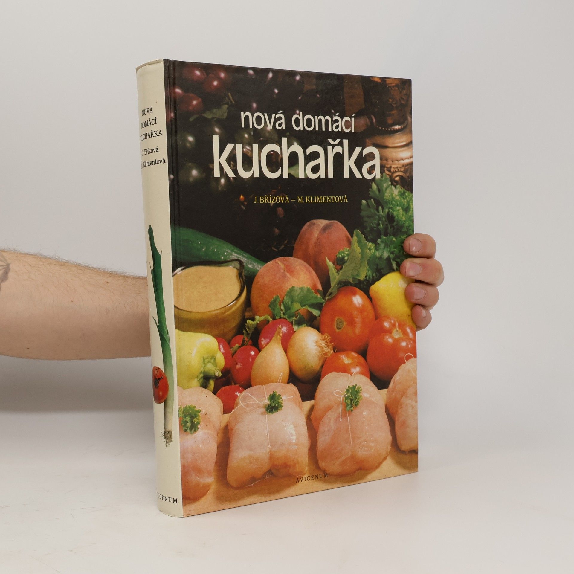 Joza Břízová Nová domácí kuchařka