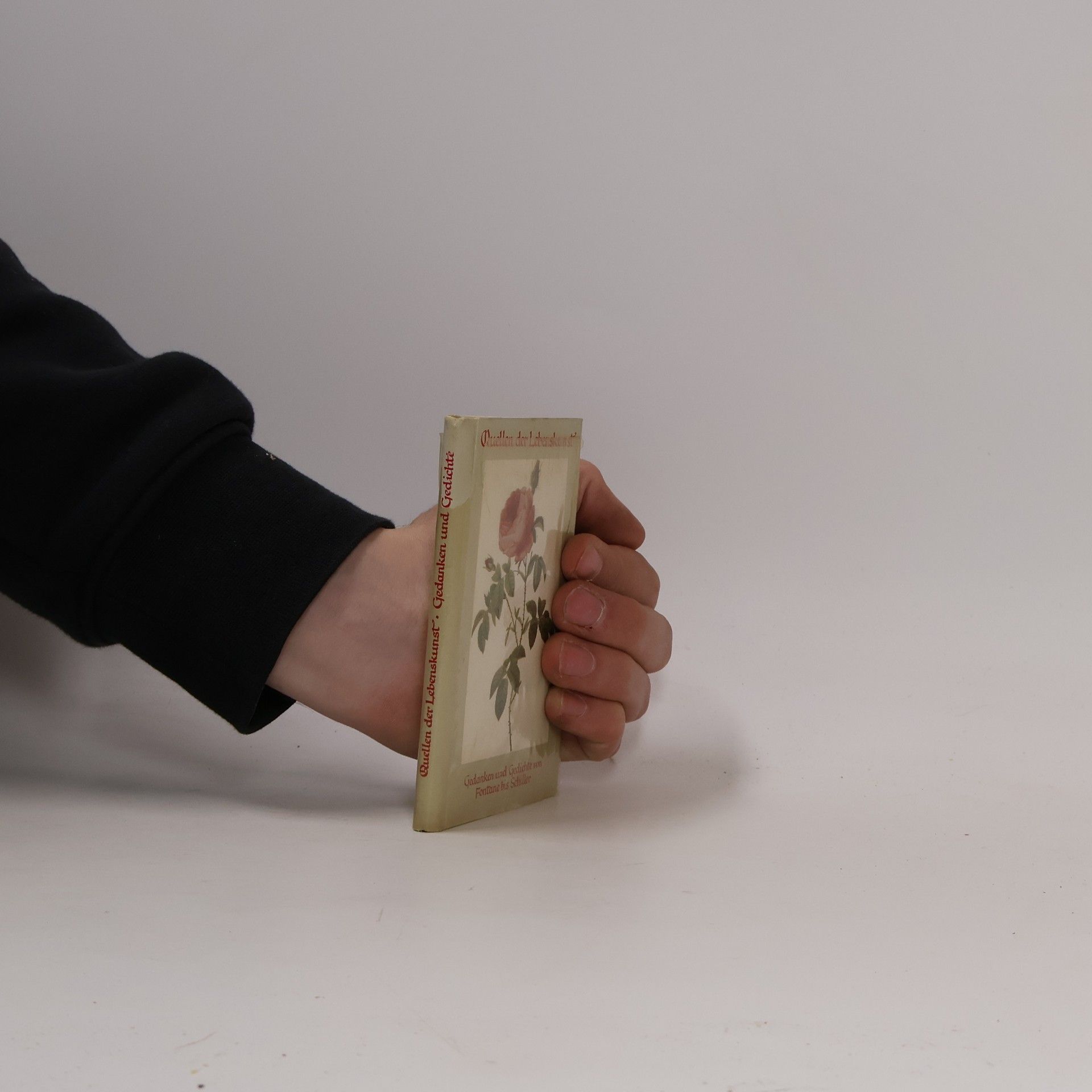 Eugen Hettinger Quellen der Lebenskunst. Gedanken und Gedichte von Fontane bis Schiller