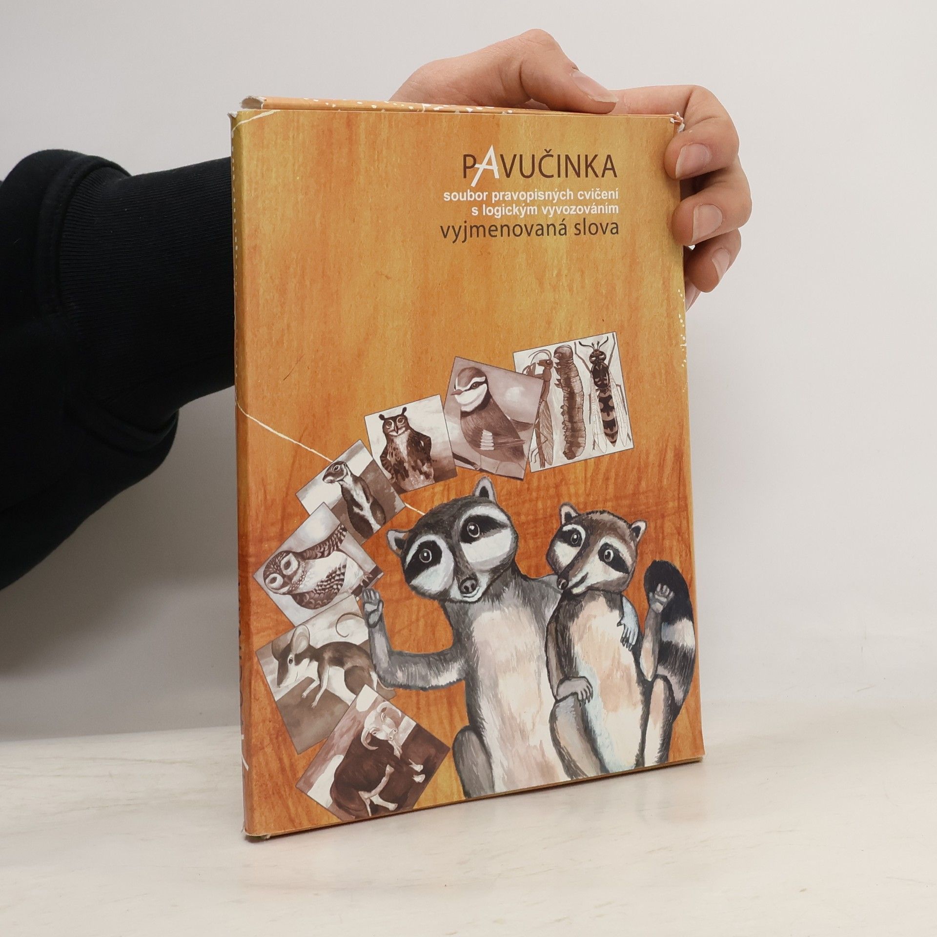 Vladimíra Bičíková Pavučinka - Vyjmenovaná slova