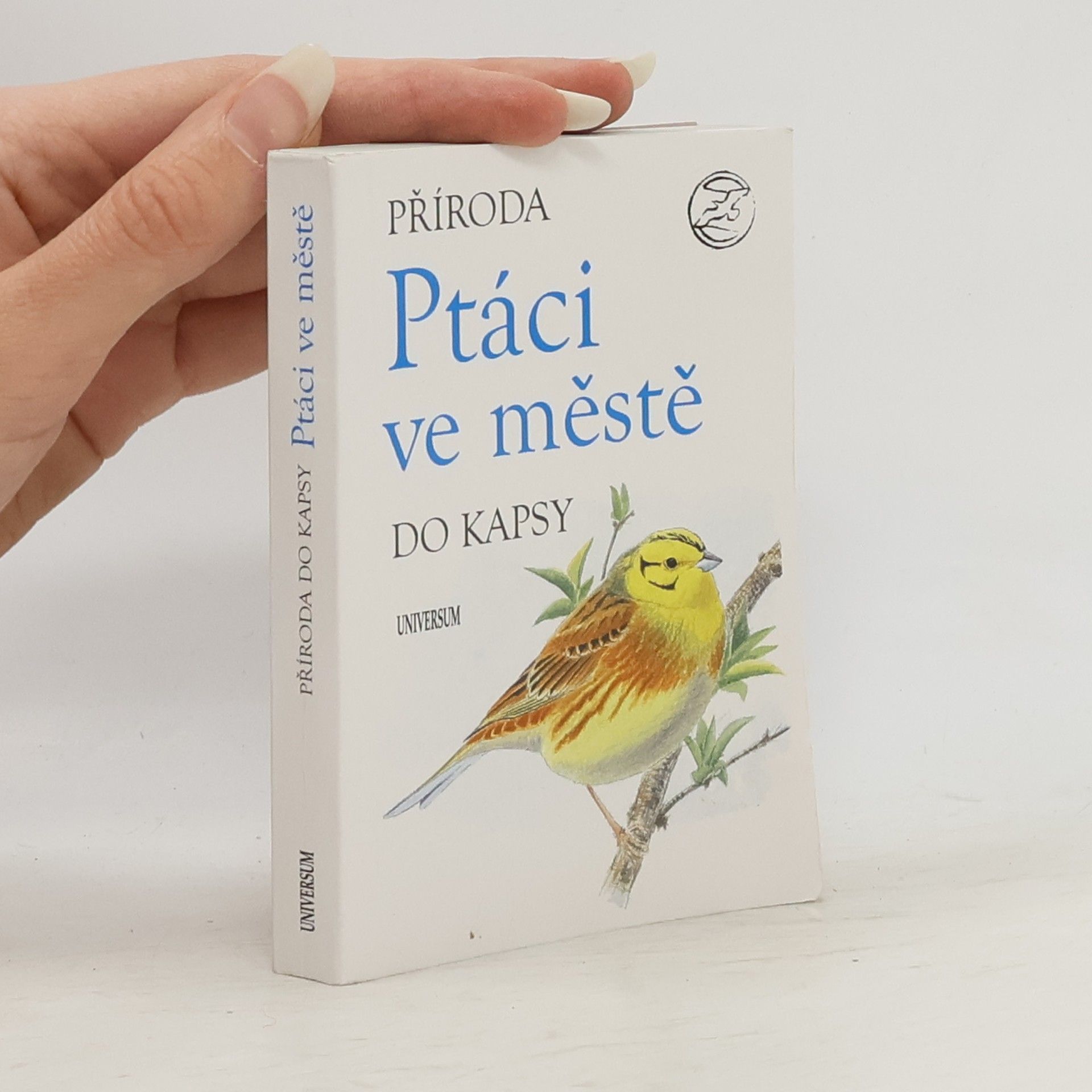 Collectif d'auteurs Ptáci ve městě