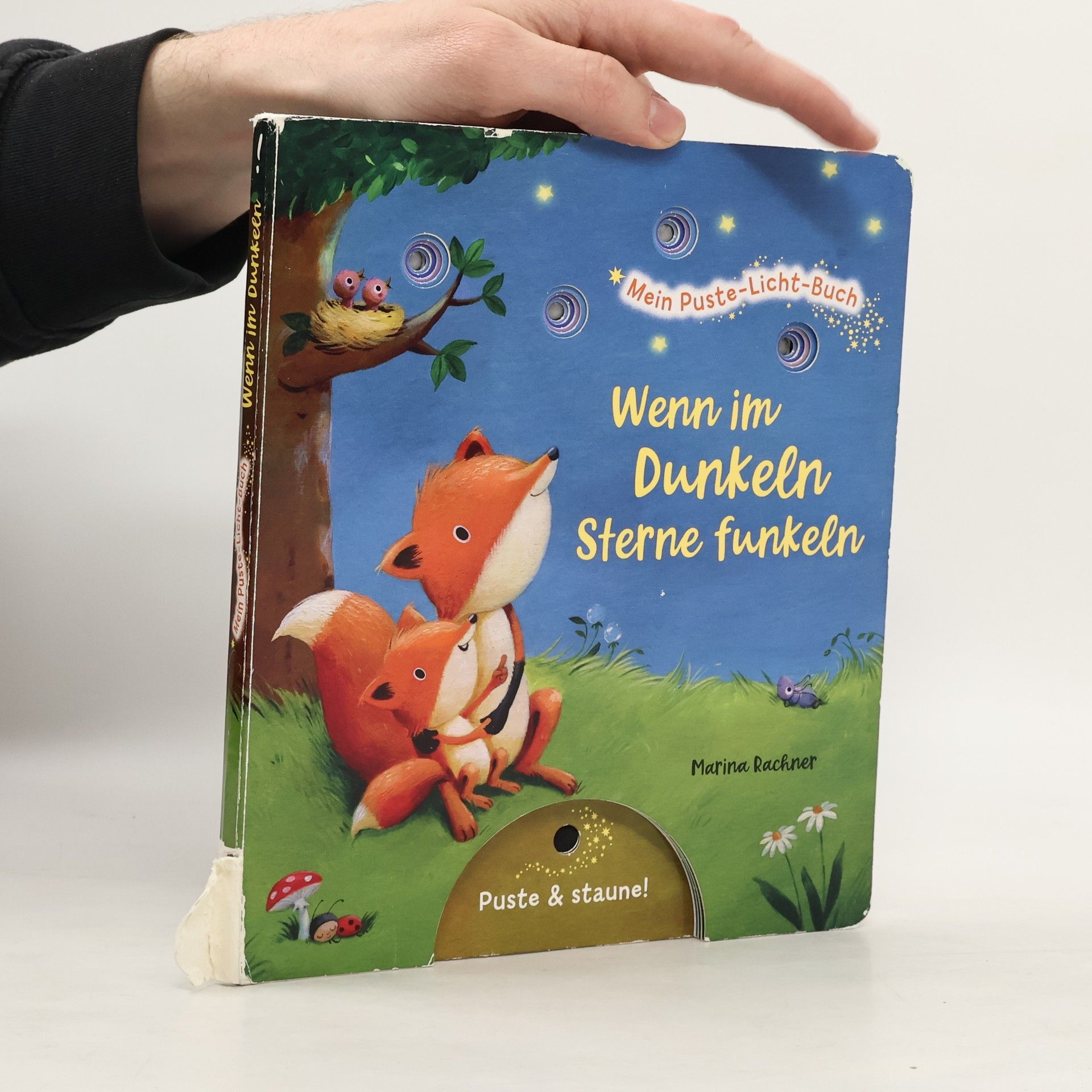 Christina Nömer Mein Puste-Licht-Buch: Wenn im Dunkeln Sterne funkeln