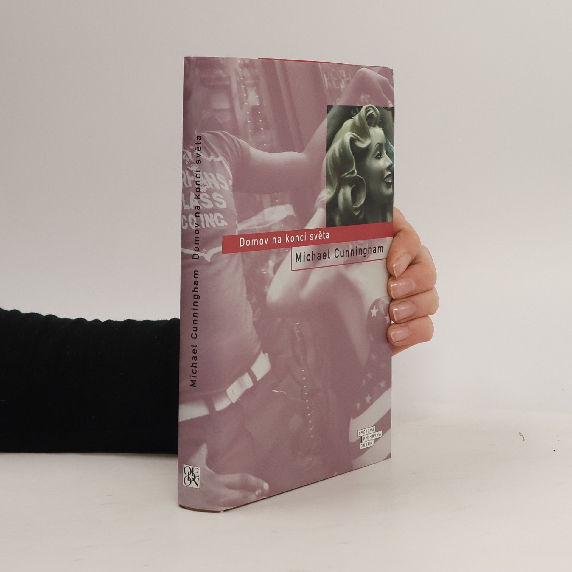 Michael Cunningham Domov na konci světa