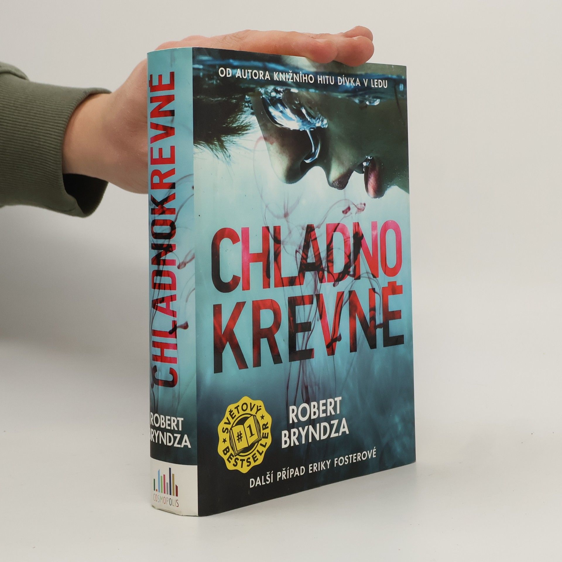 Robert Bryndza Chladnokrevně