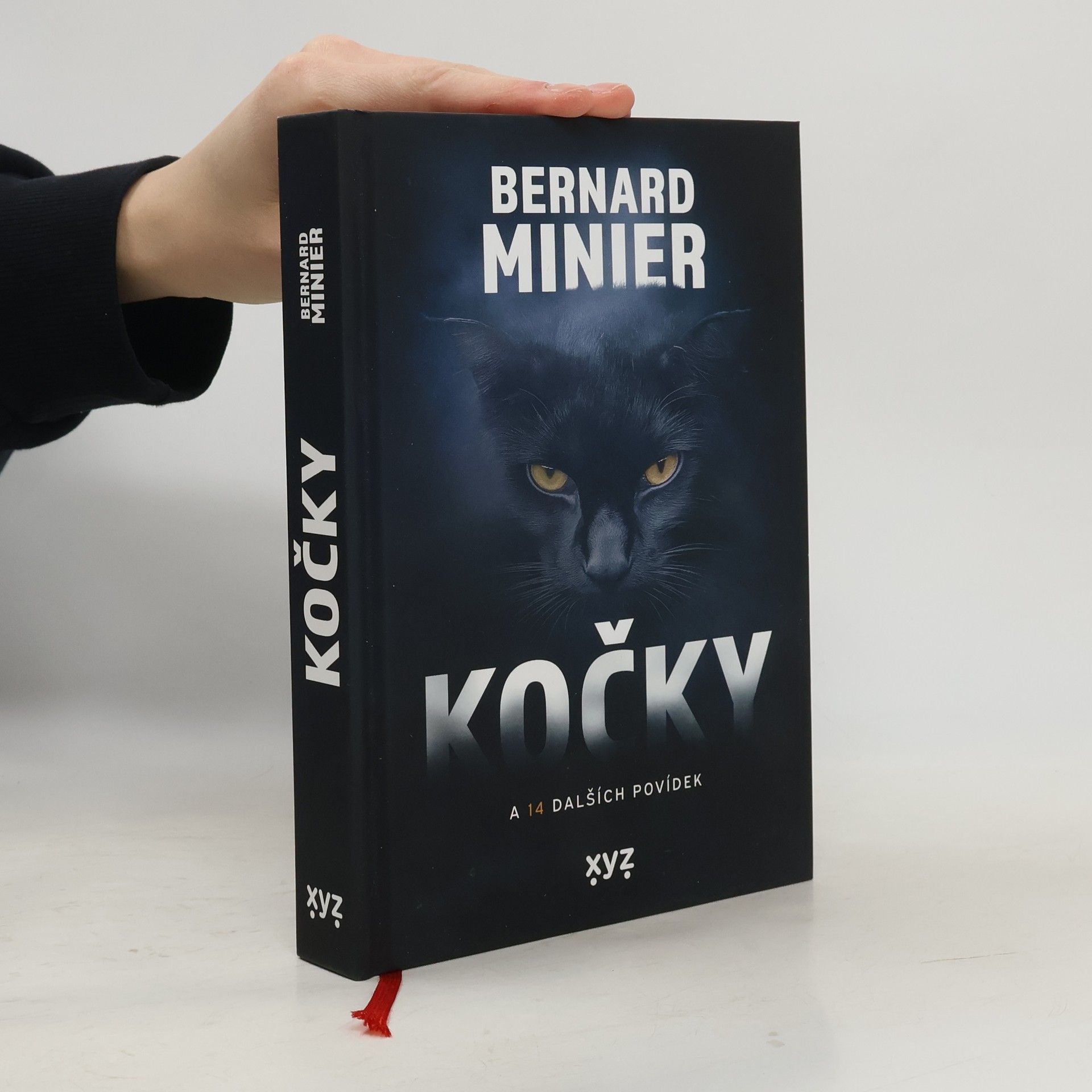 Kočky