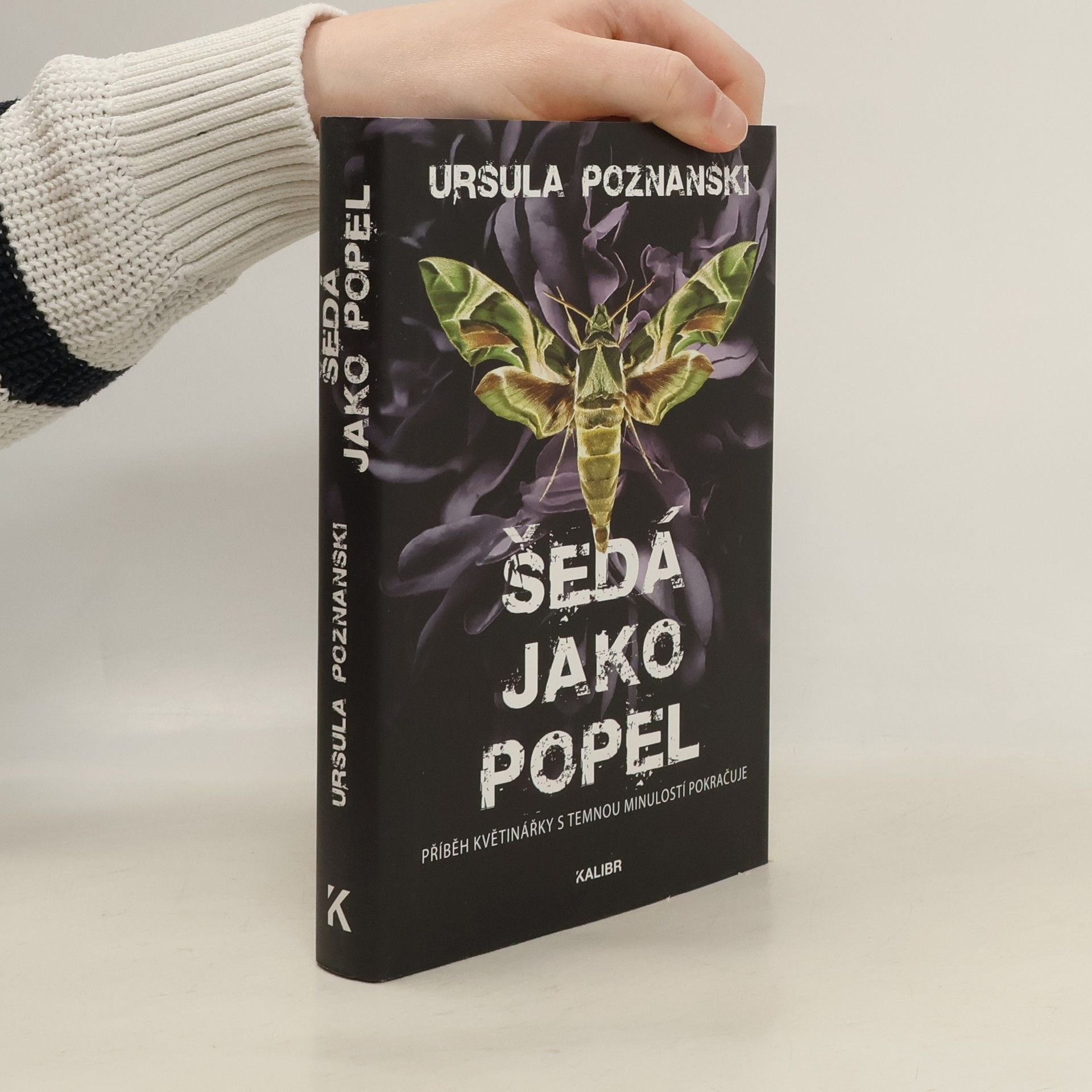Ursula Poznanski Šedá jako popel