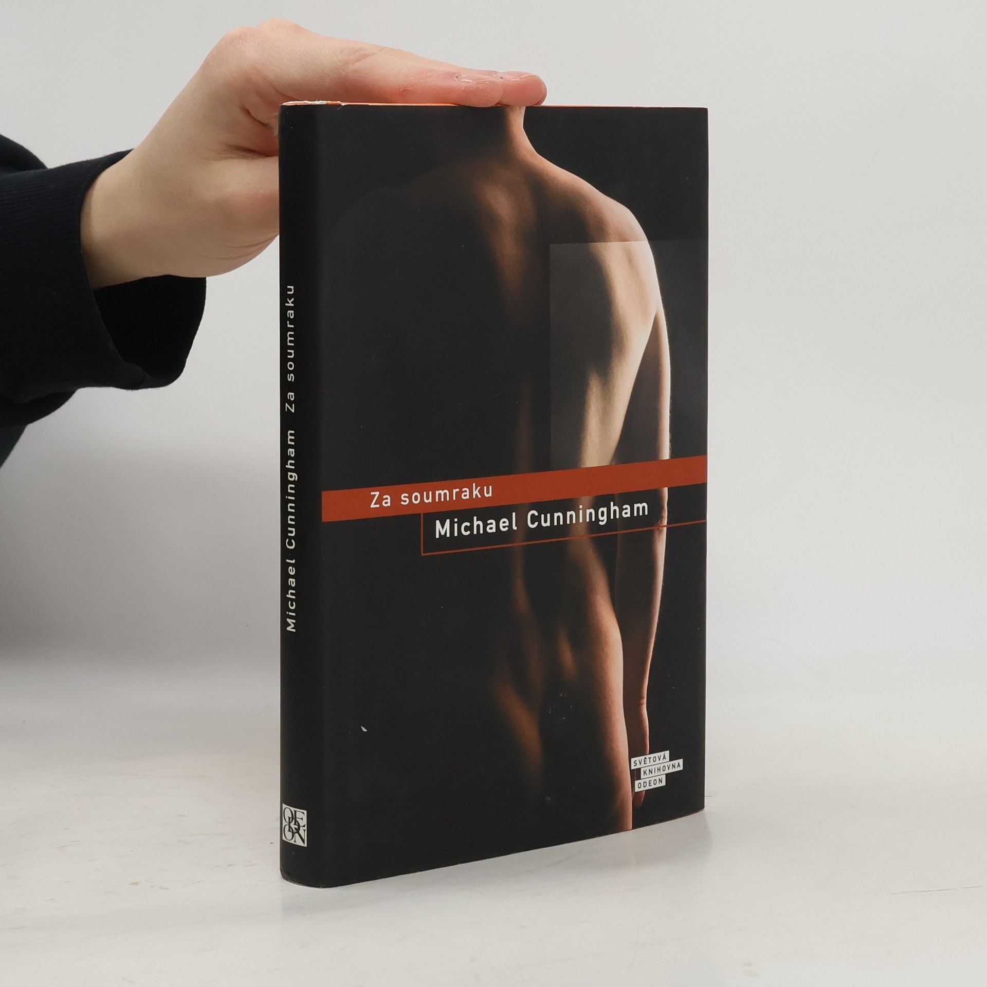 Michael Cunningham Za soumraku