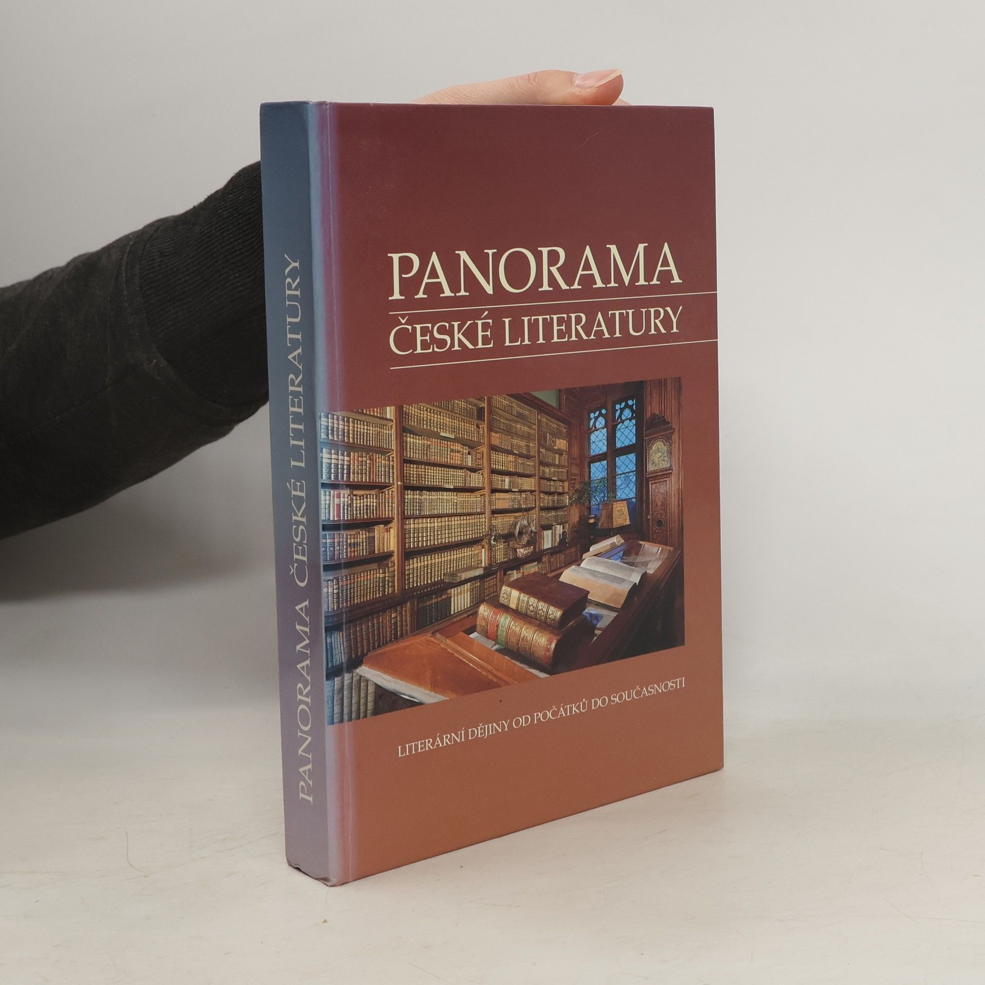Josef Galík Panorama české literatury. Literární dějiny od počátků do současnosti