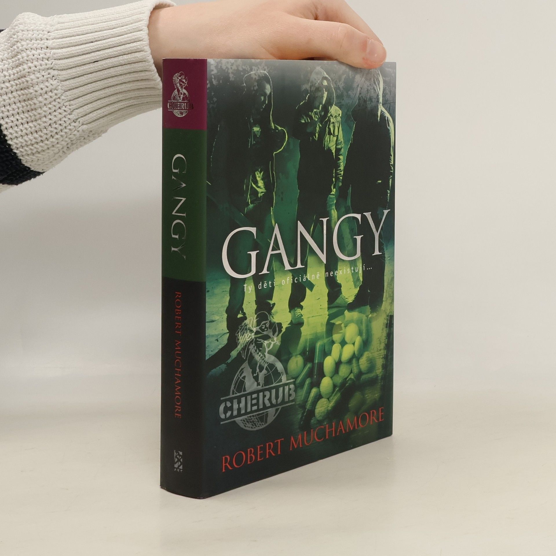 Robert Muchamore Gangy