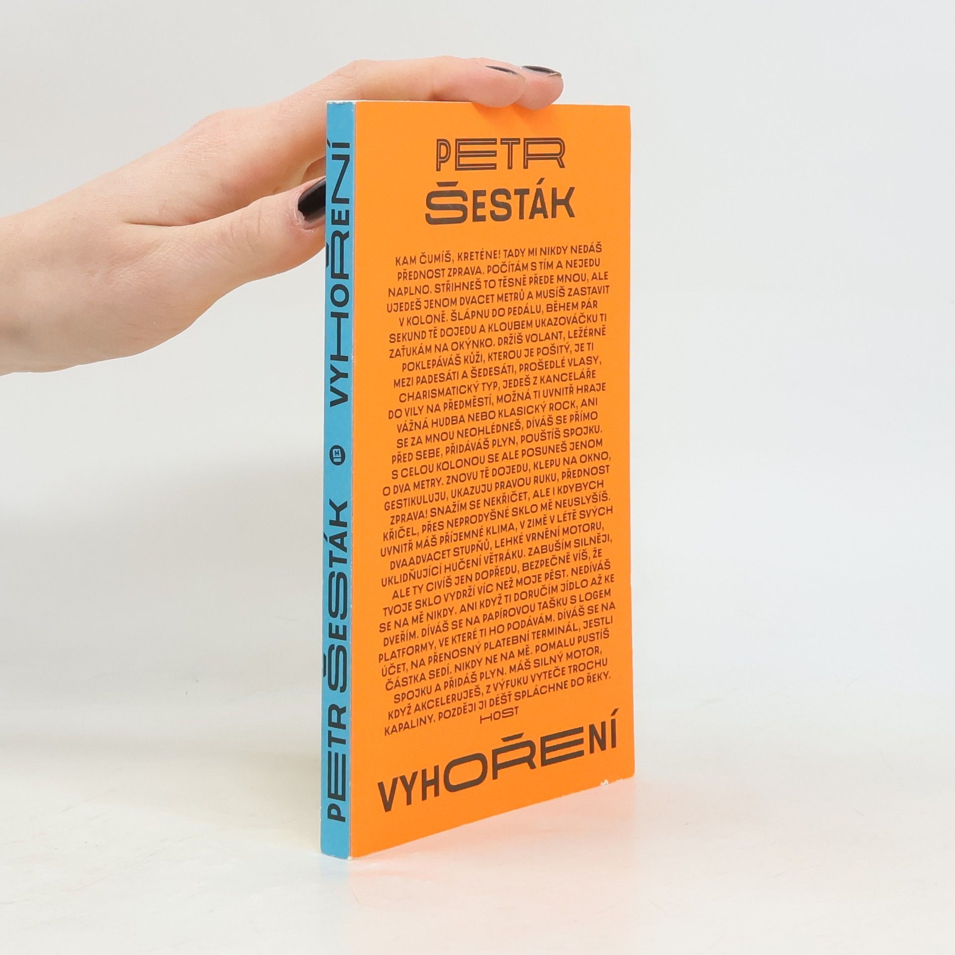 Petr Šesták Vyhoření