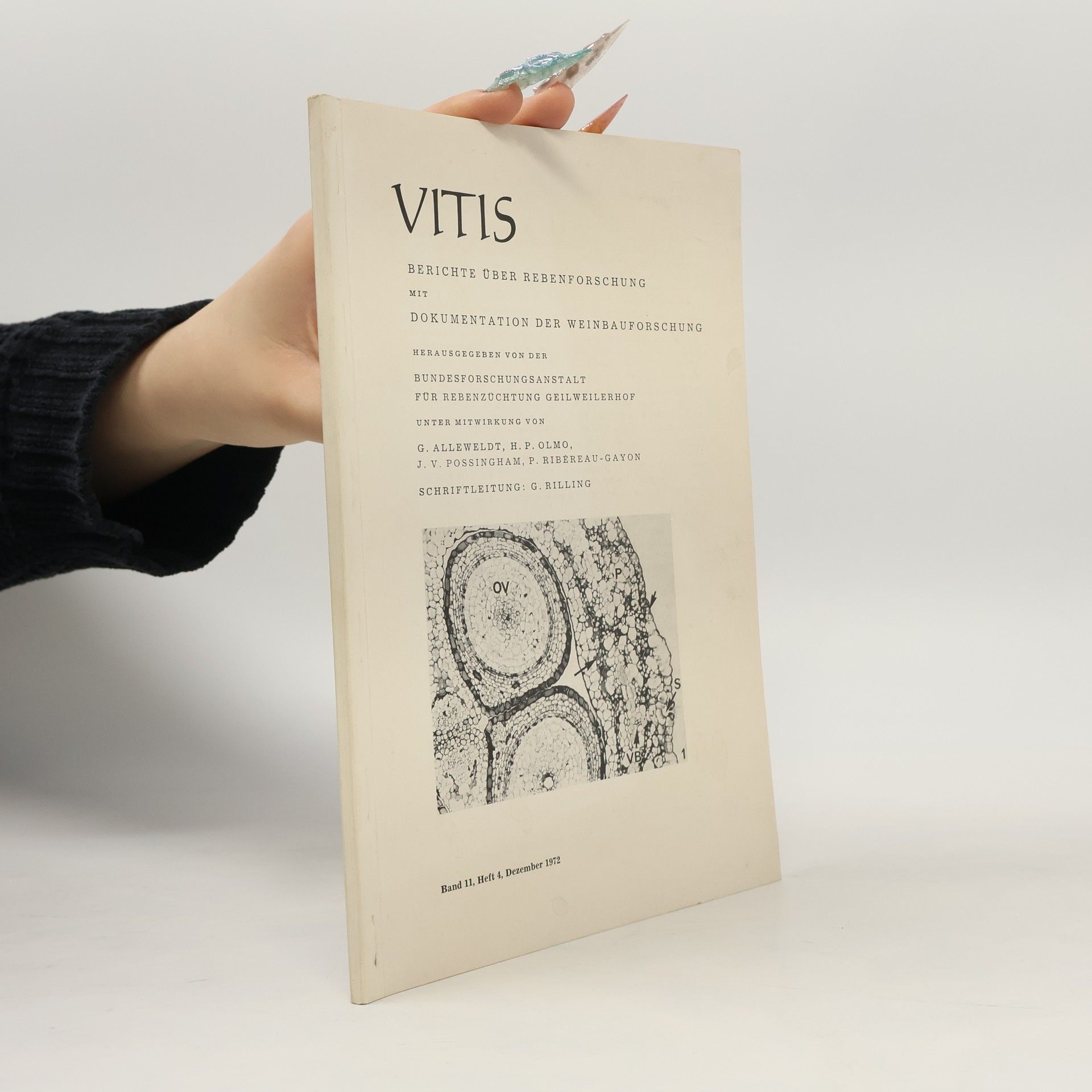 AA.VV. VITIS - Berichte über Rebenforschung 11