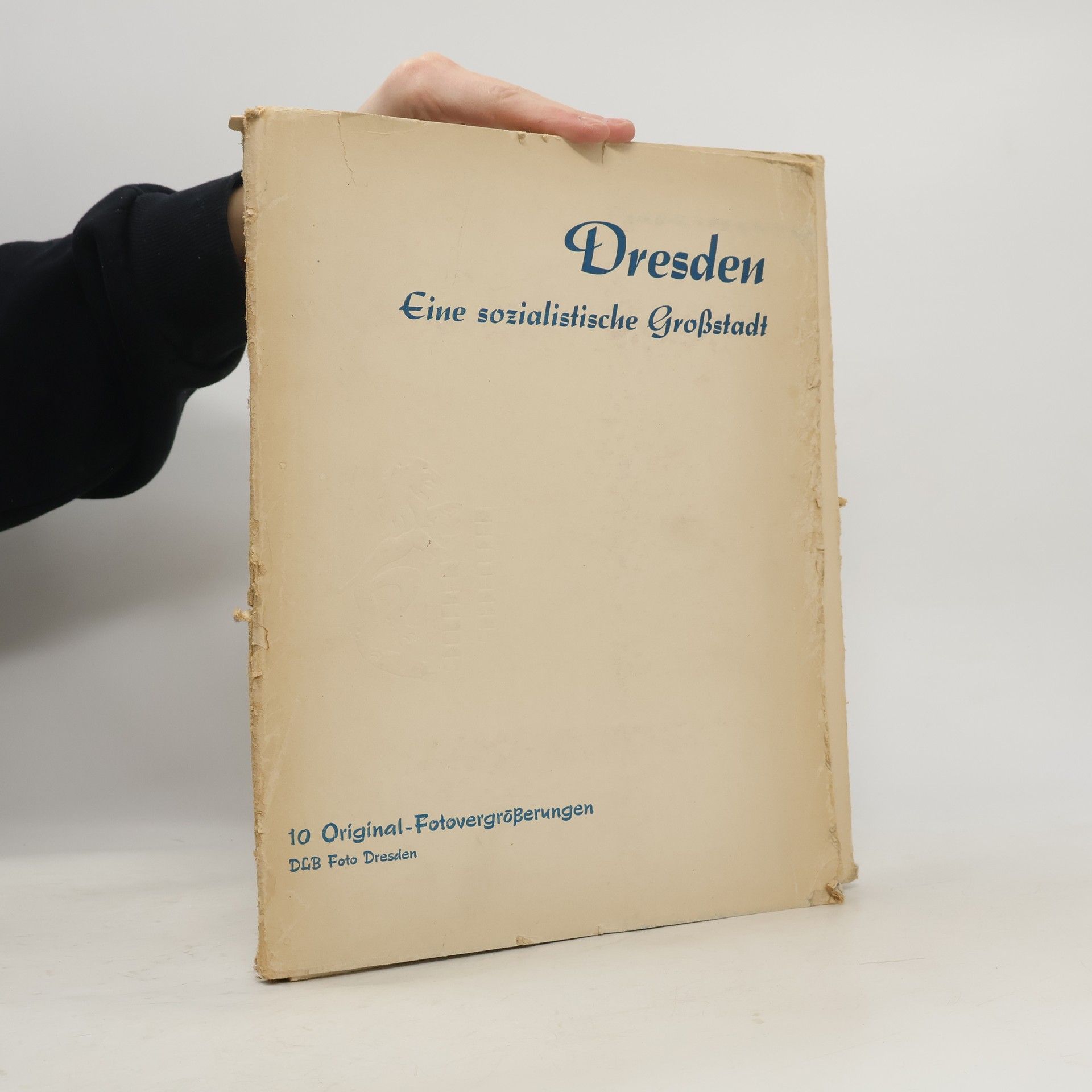 Kolektiv autorů Dresden. Eine sozialistische Großstadt