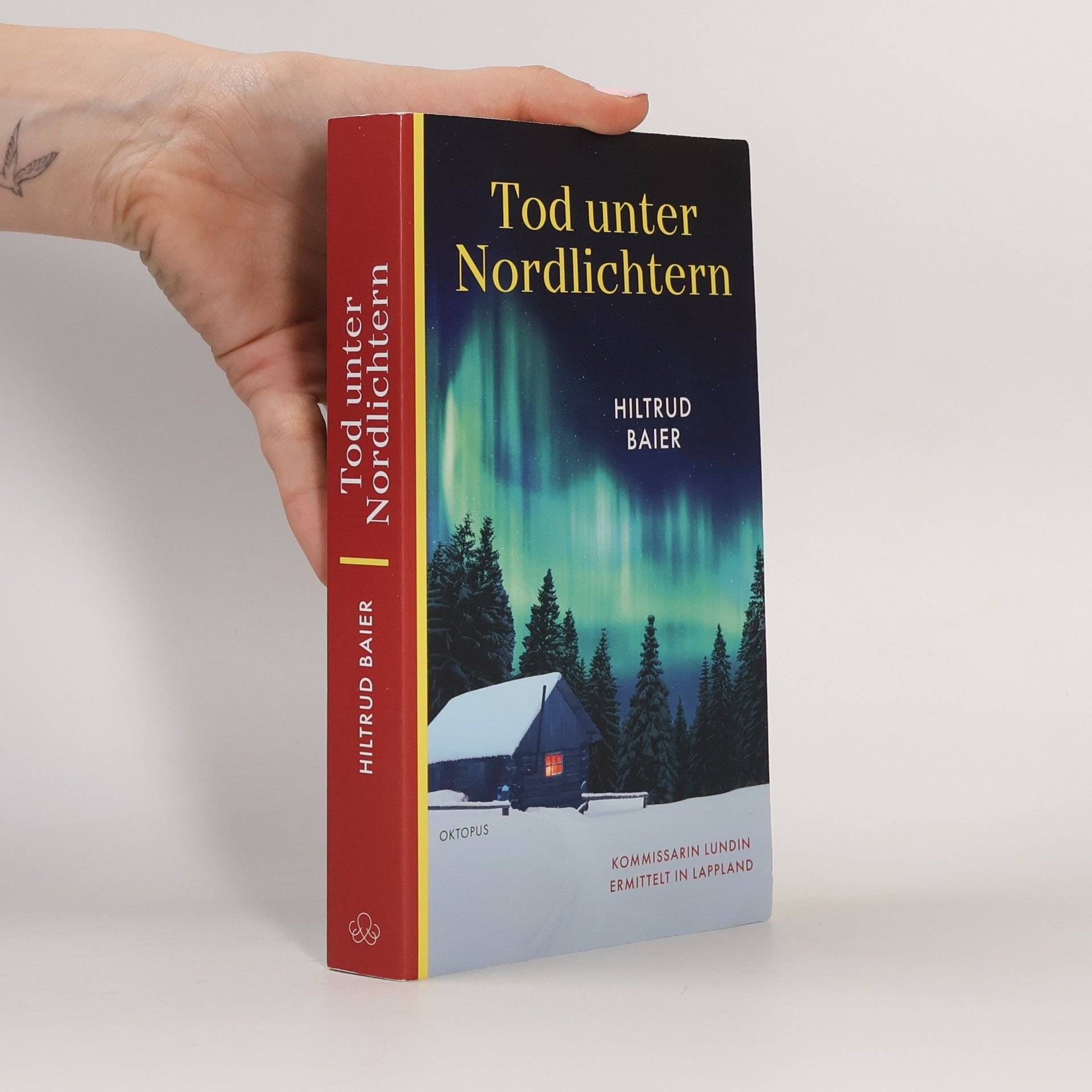 Tod unter Nordlichtern