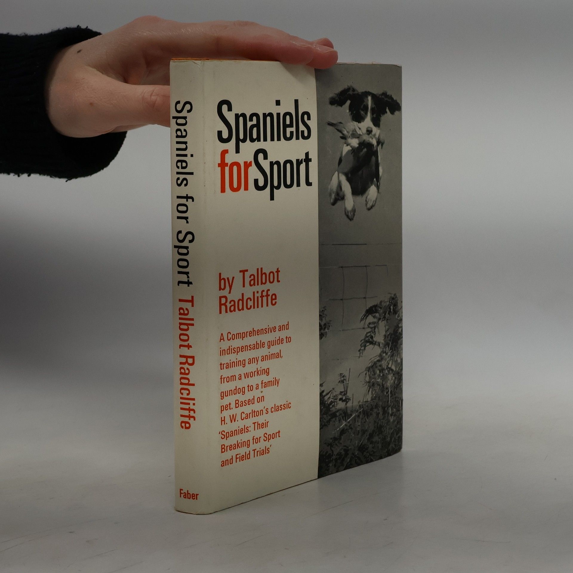 Talbot Radcliffe Spaniels for Sport