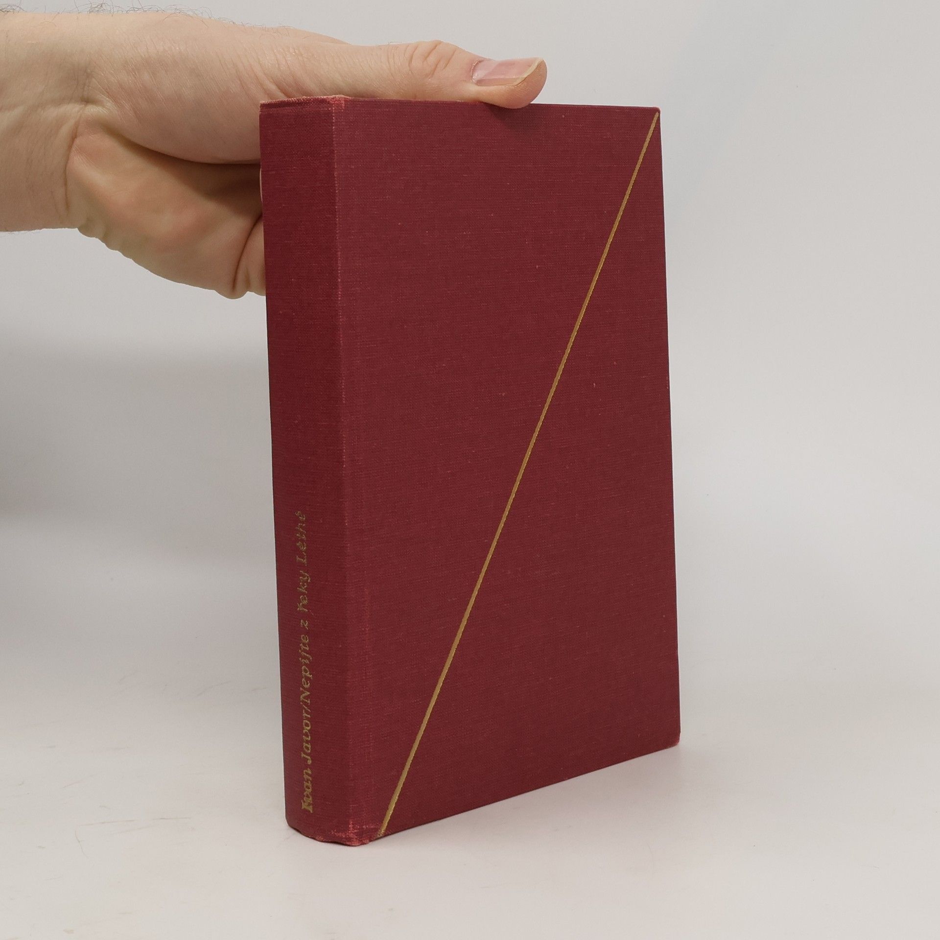 Ivan Javor Nepijte z řeky Léthé