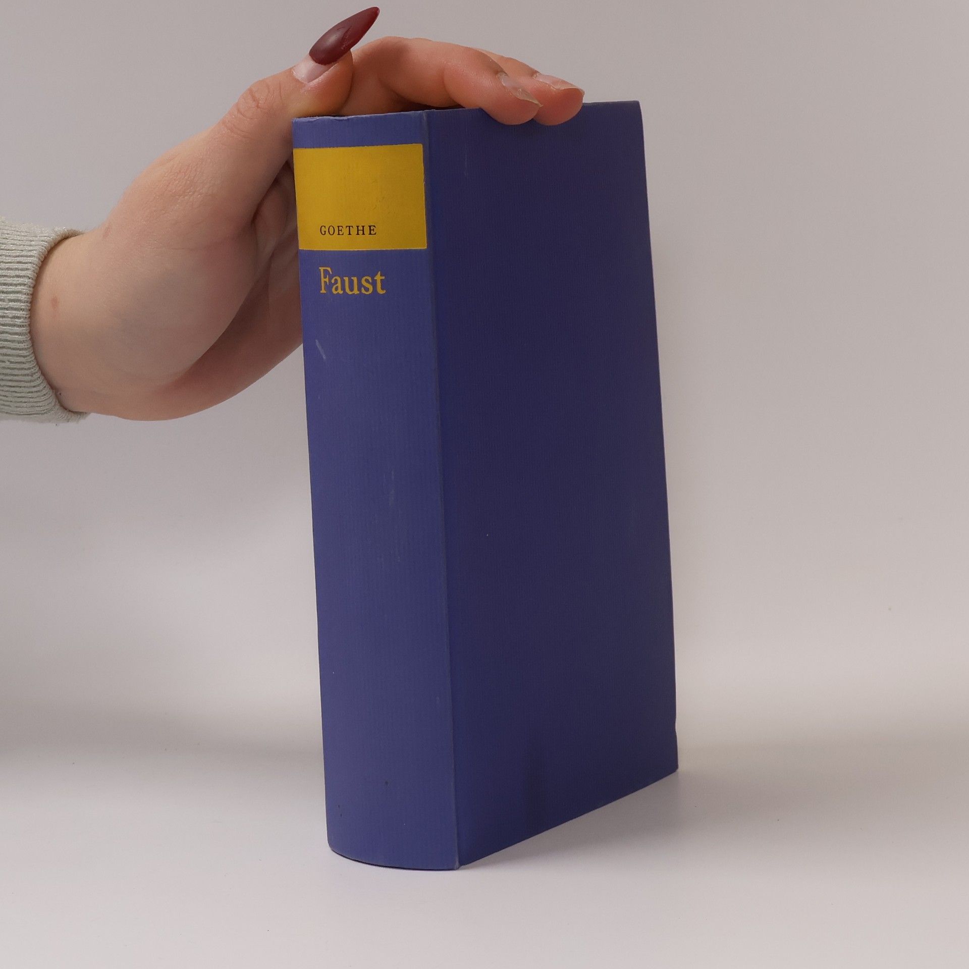 Alexandr Sergejevič Puškin Die Hauptmannstochter und andere Erzählungen