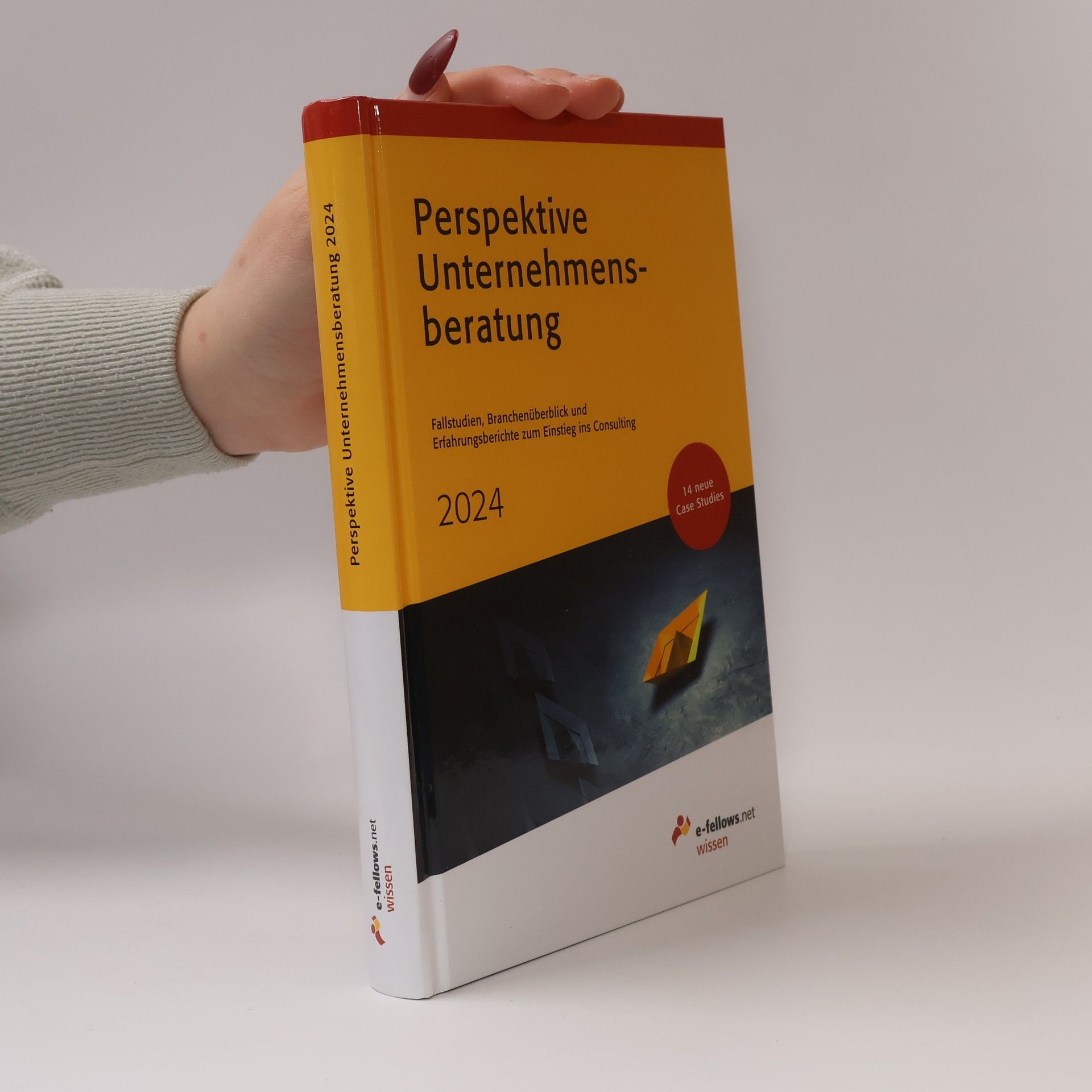 Thomas Fritz Perspektive Unternehmensberatung 2024
