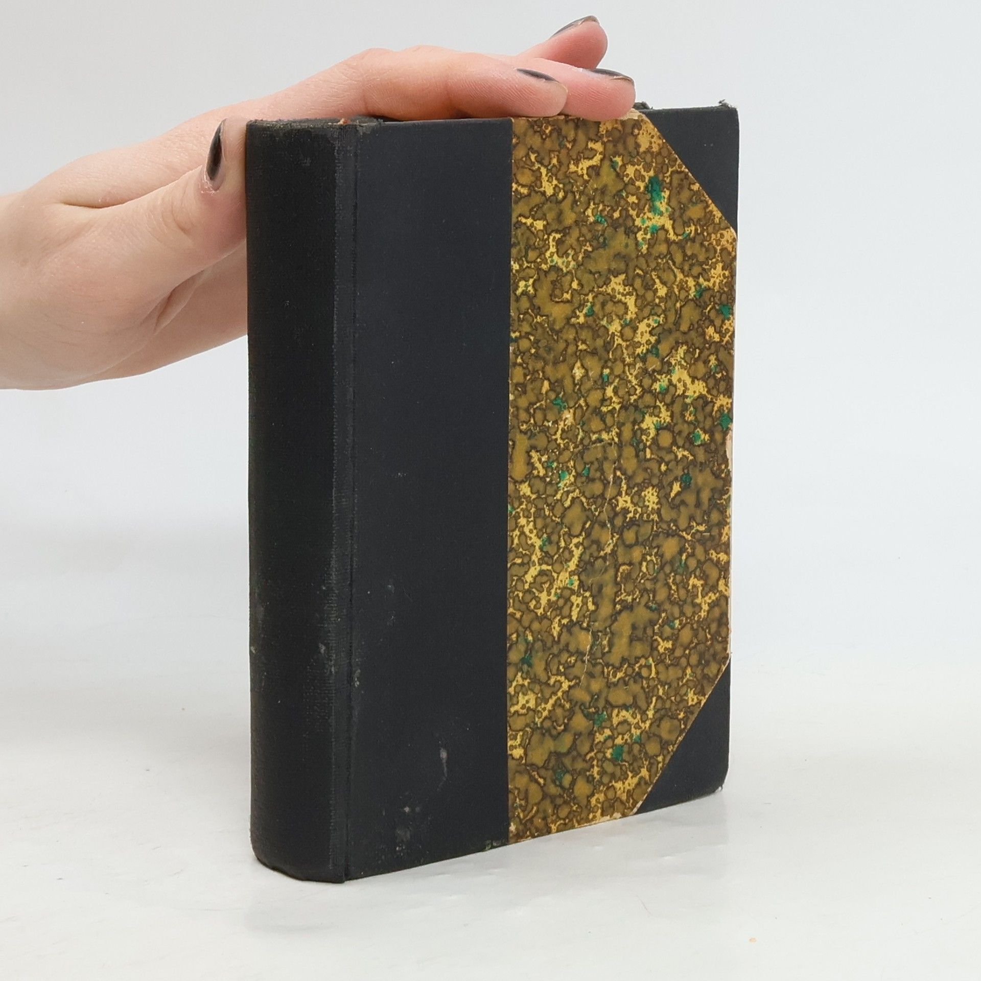 Karel Hynek Mácha Spisy II.