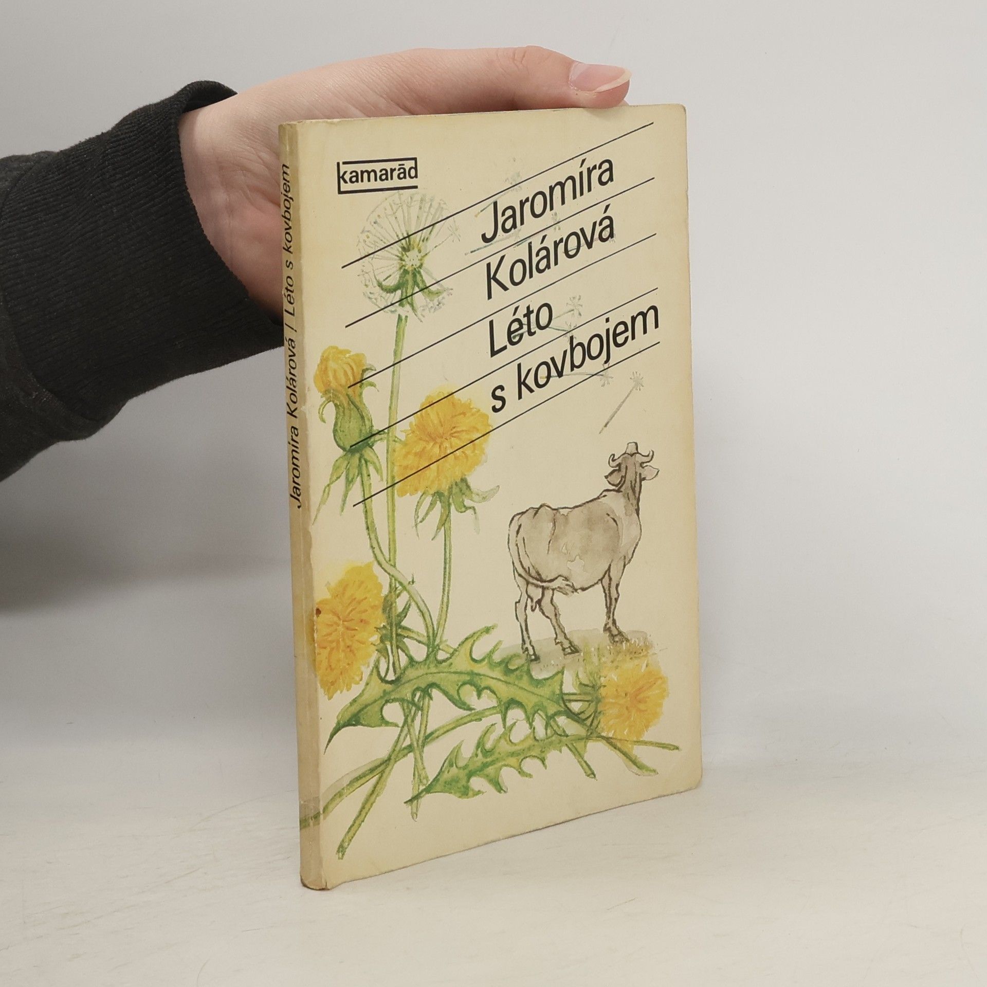 Jaromíra Kolárová Léto s kovbojem