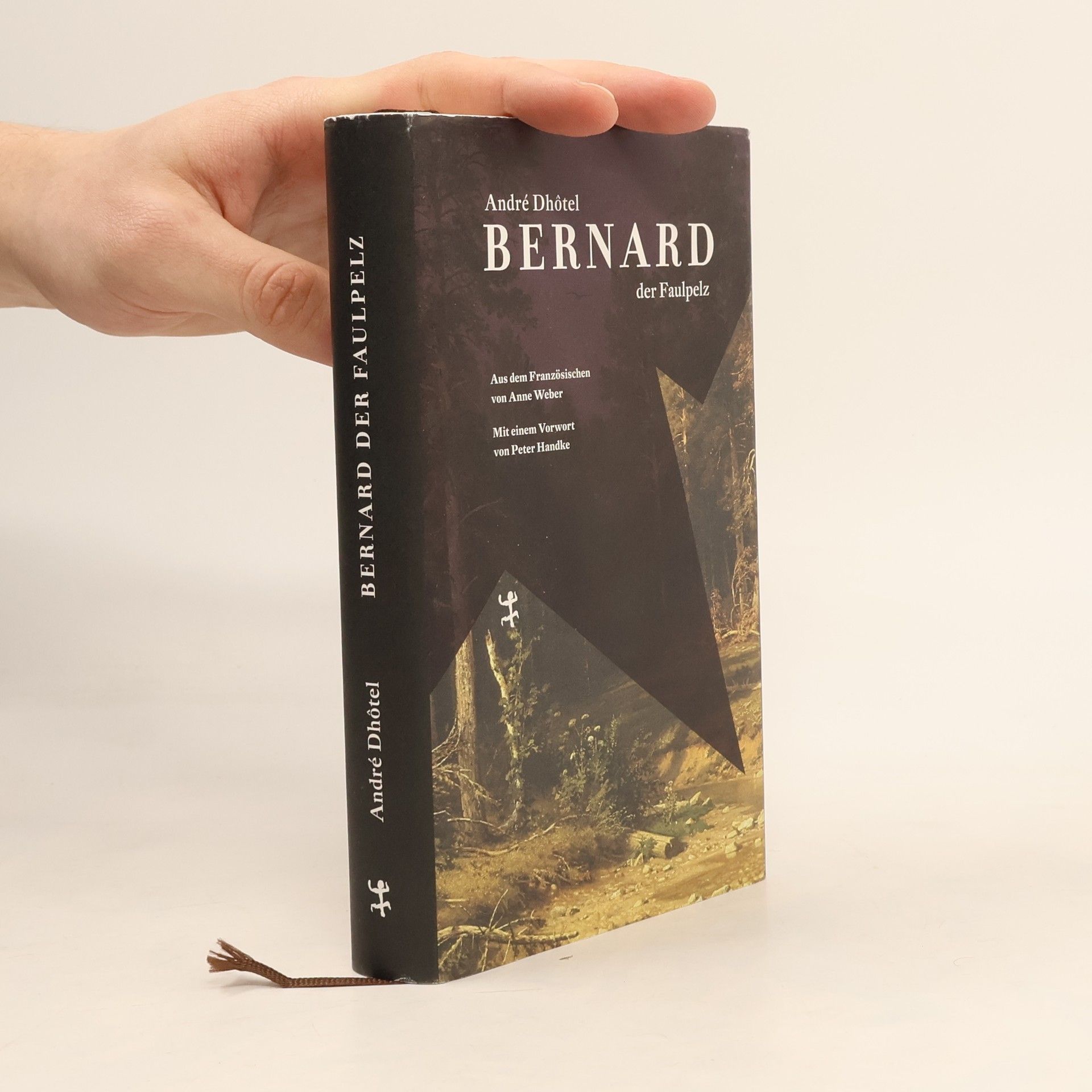 André Dhôtel Bernard der Faulpelz