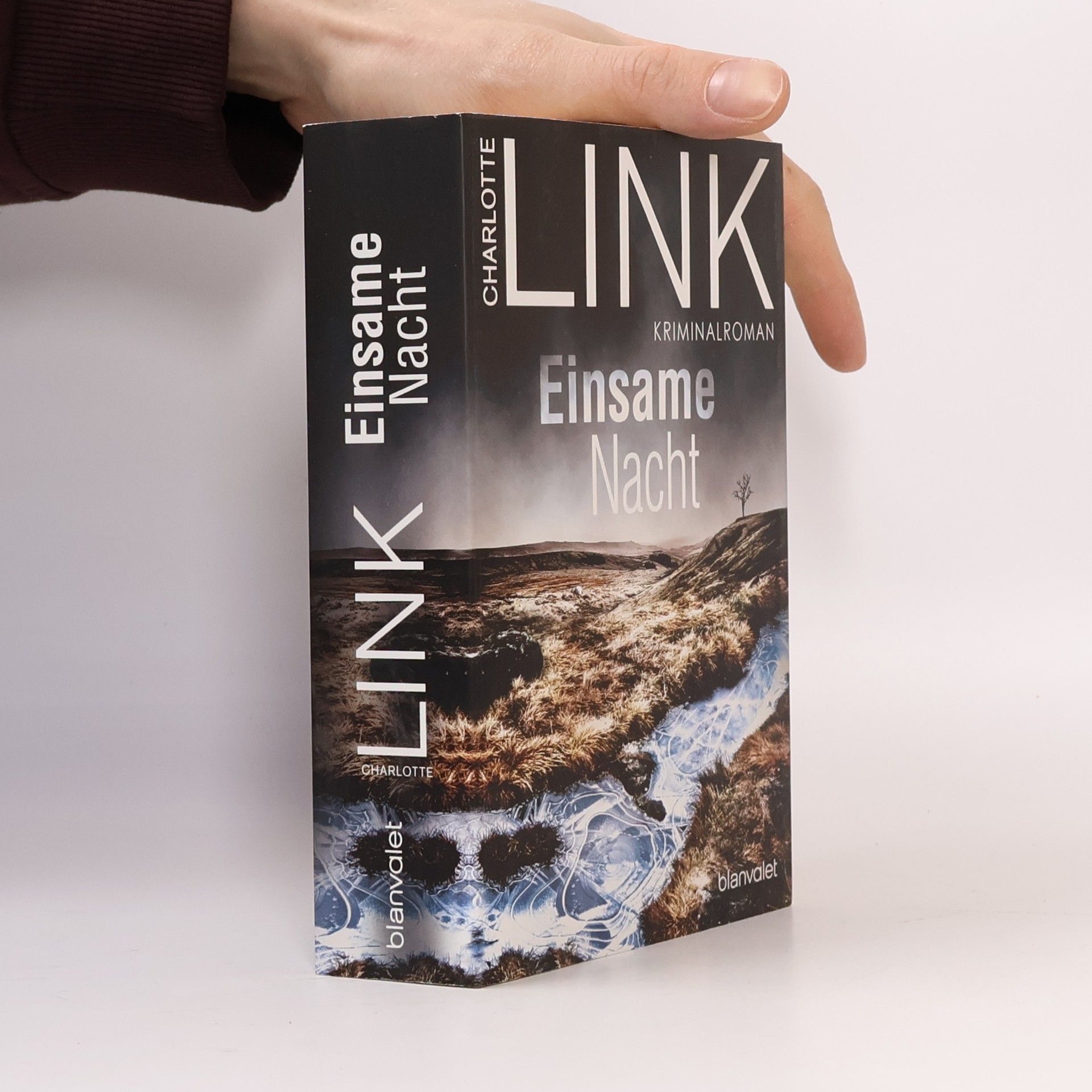 Charlotte Link Einsame Nacht