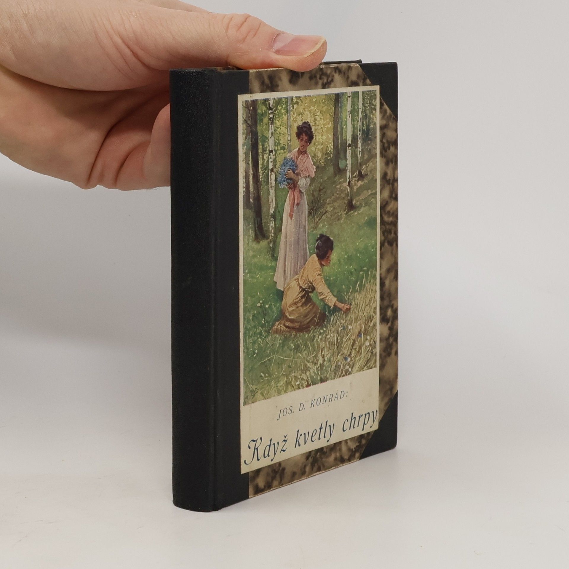 Josef Deograd Konrád Když kvetly chrpy