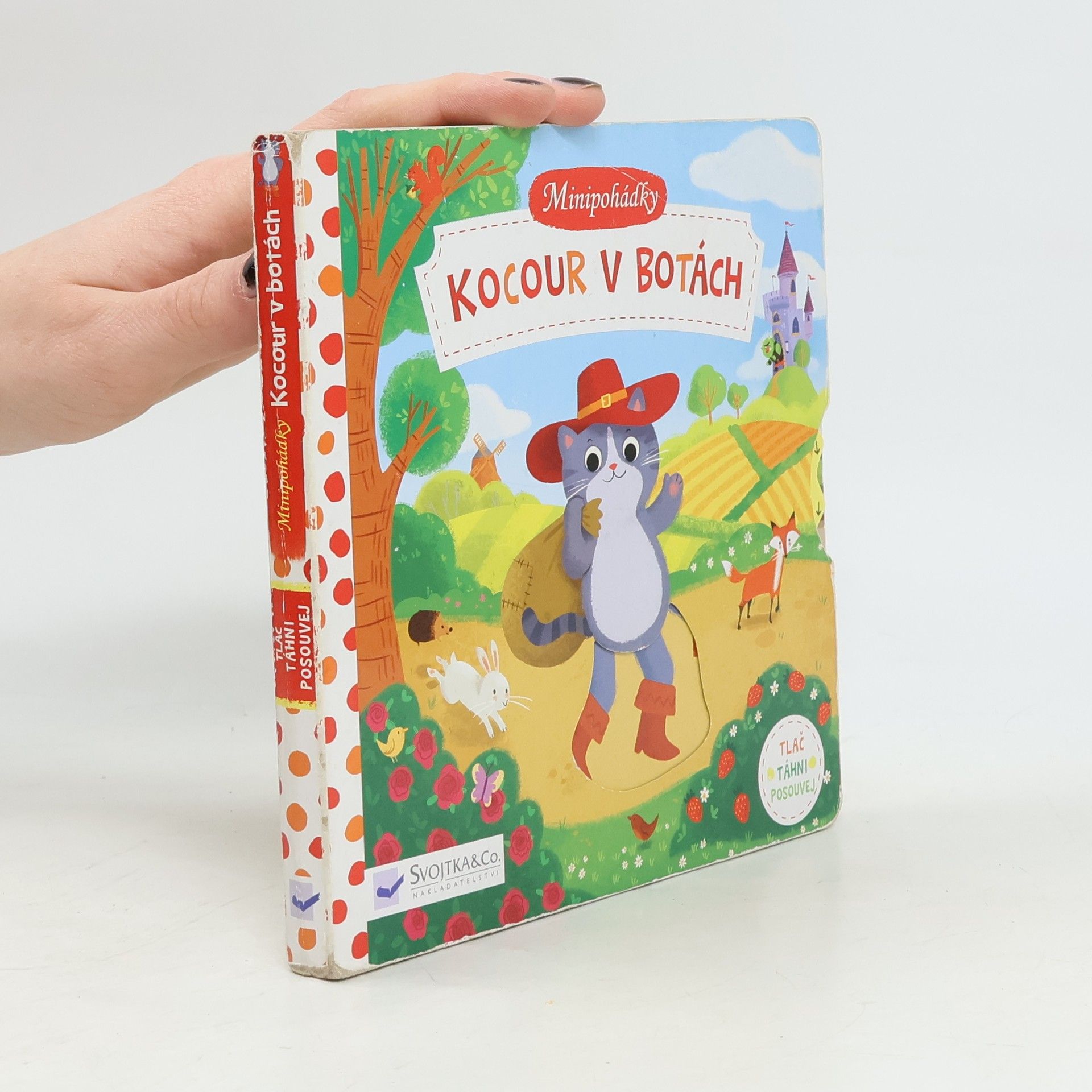 Daniel Taylor Minipohádky: Kocour v botách