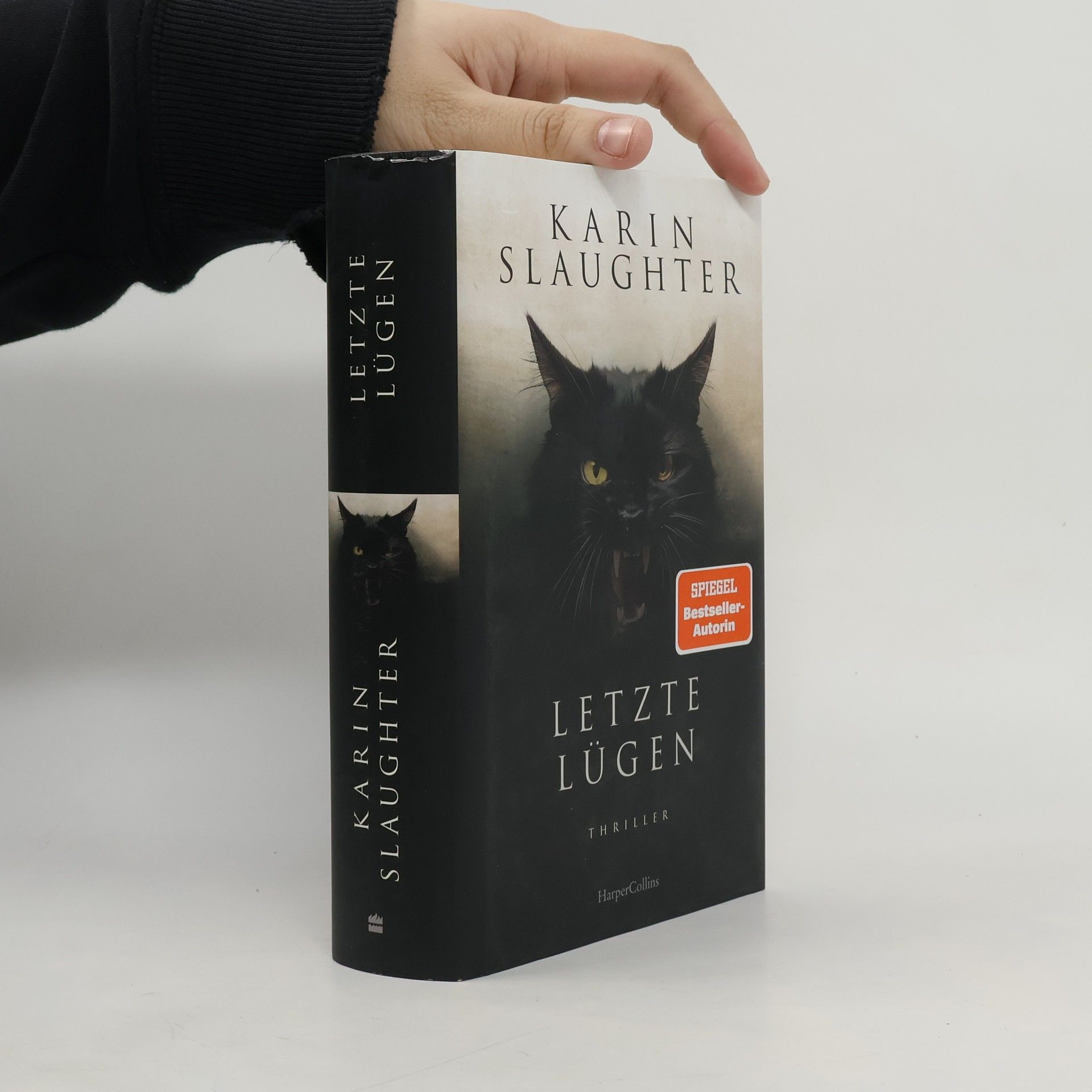 Karin Slaughter Letzte Lügen
