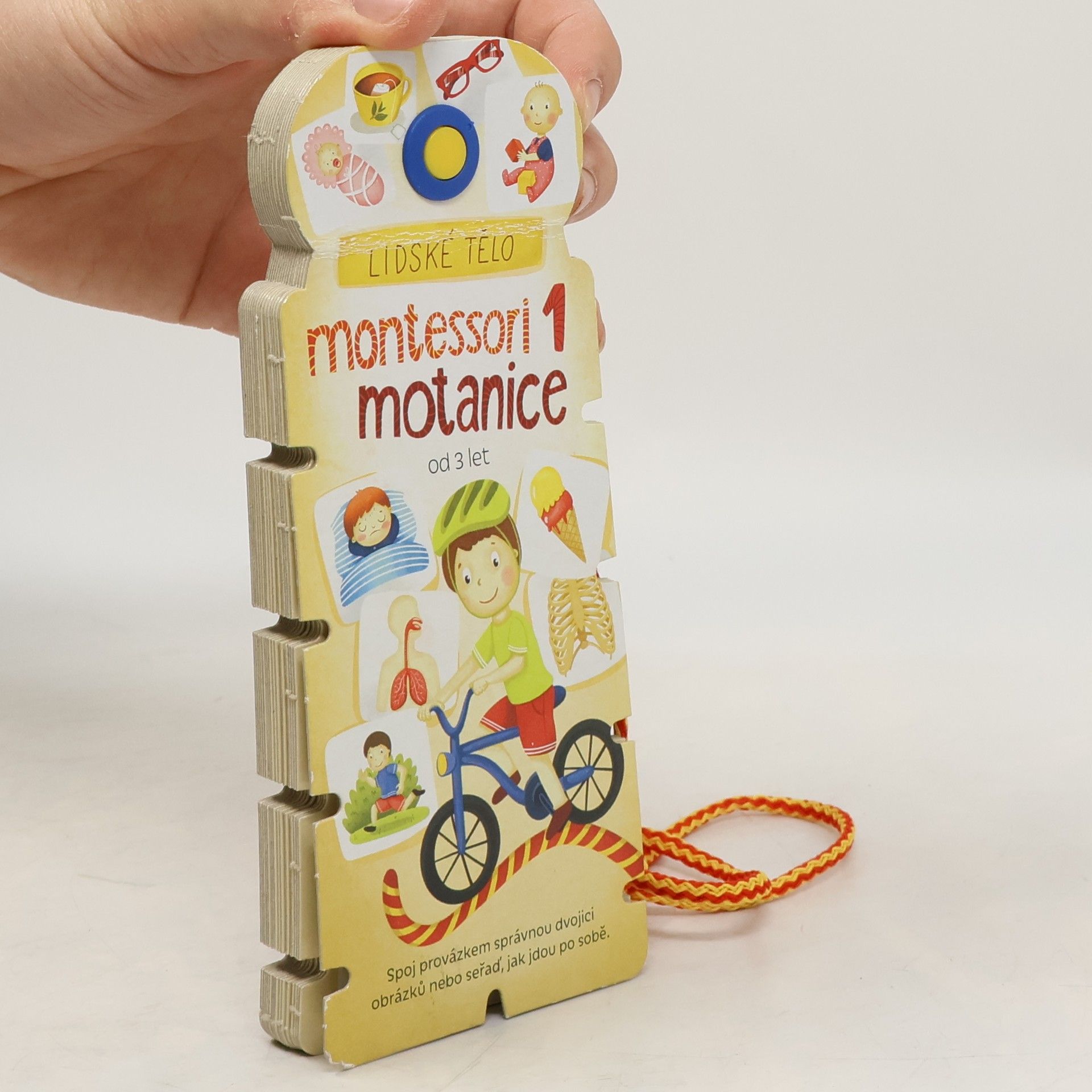 Kolektiv autorů Montessori 1. Lidské tělo