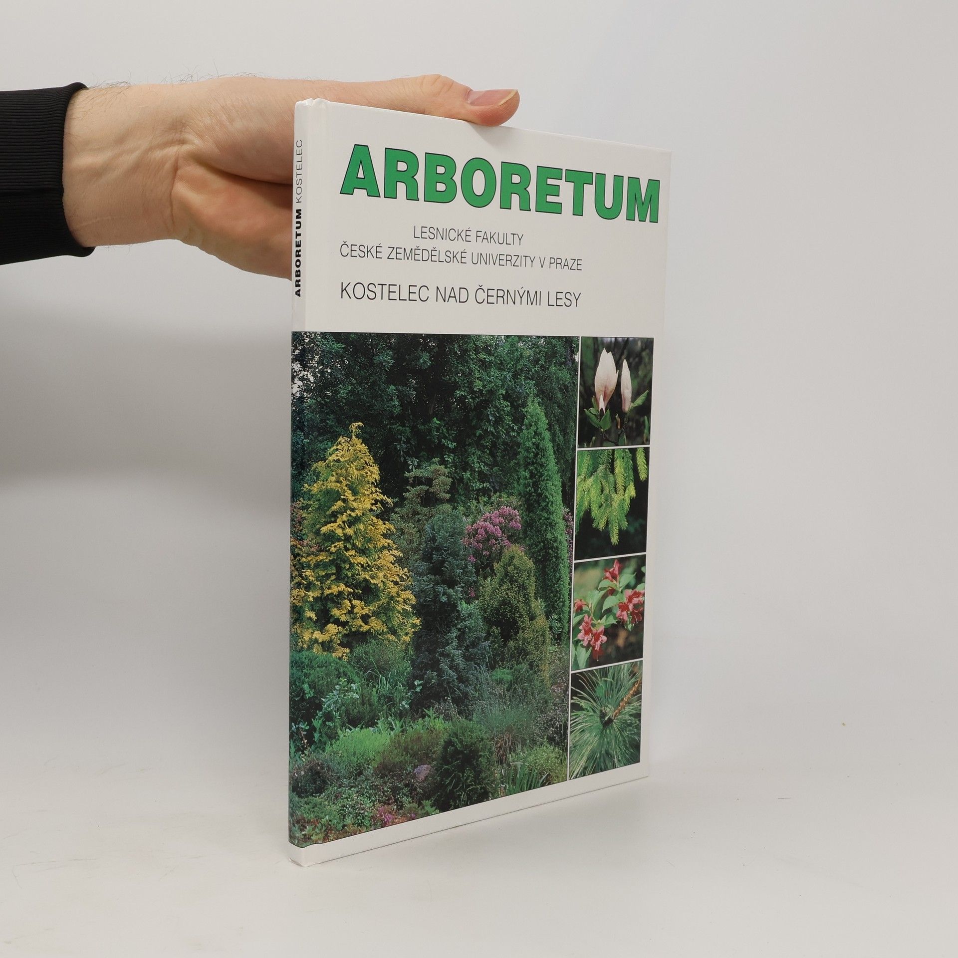 Ivan Roček Arboretum Lesnické fakulty České zemědělské univerzity.