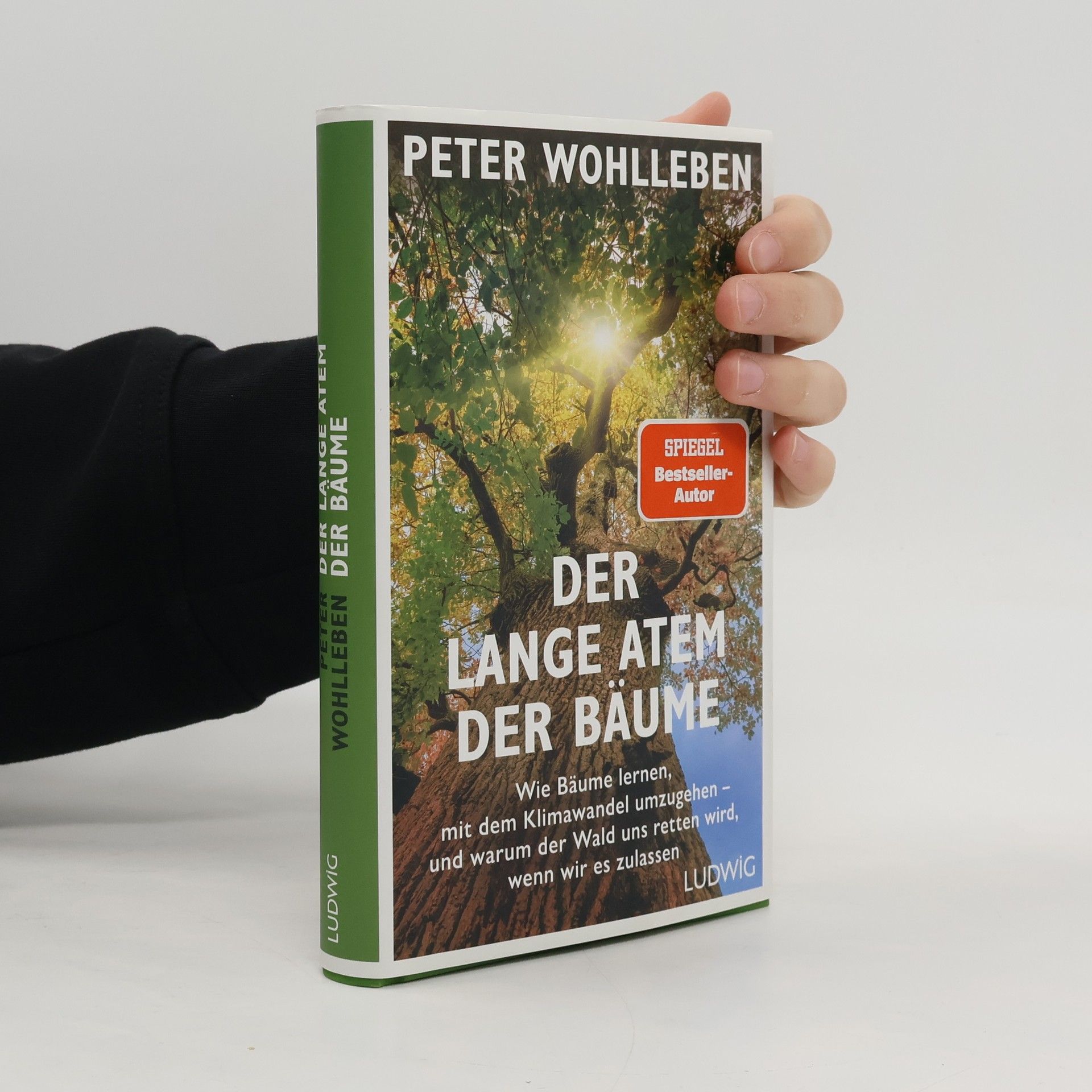 Der lange Atem der Bäume