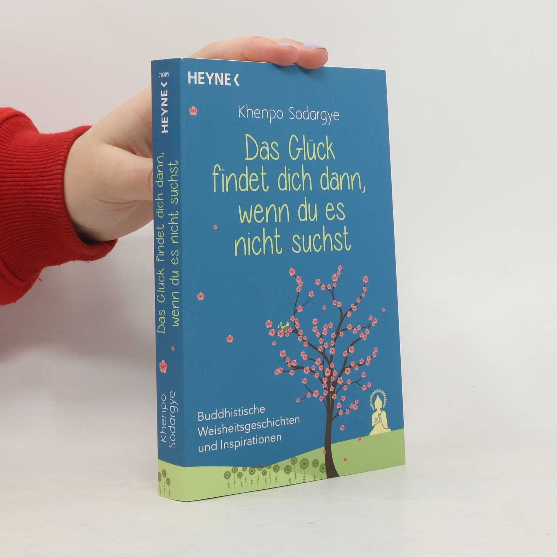 Khenpo Sodargye Das Glück findet dich dann, wenn du es nicht suchst