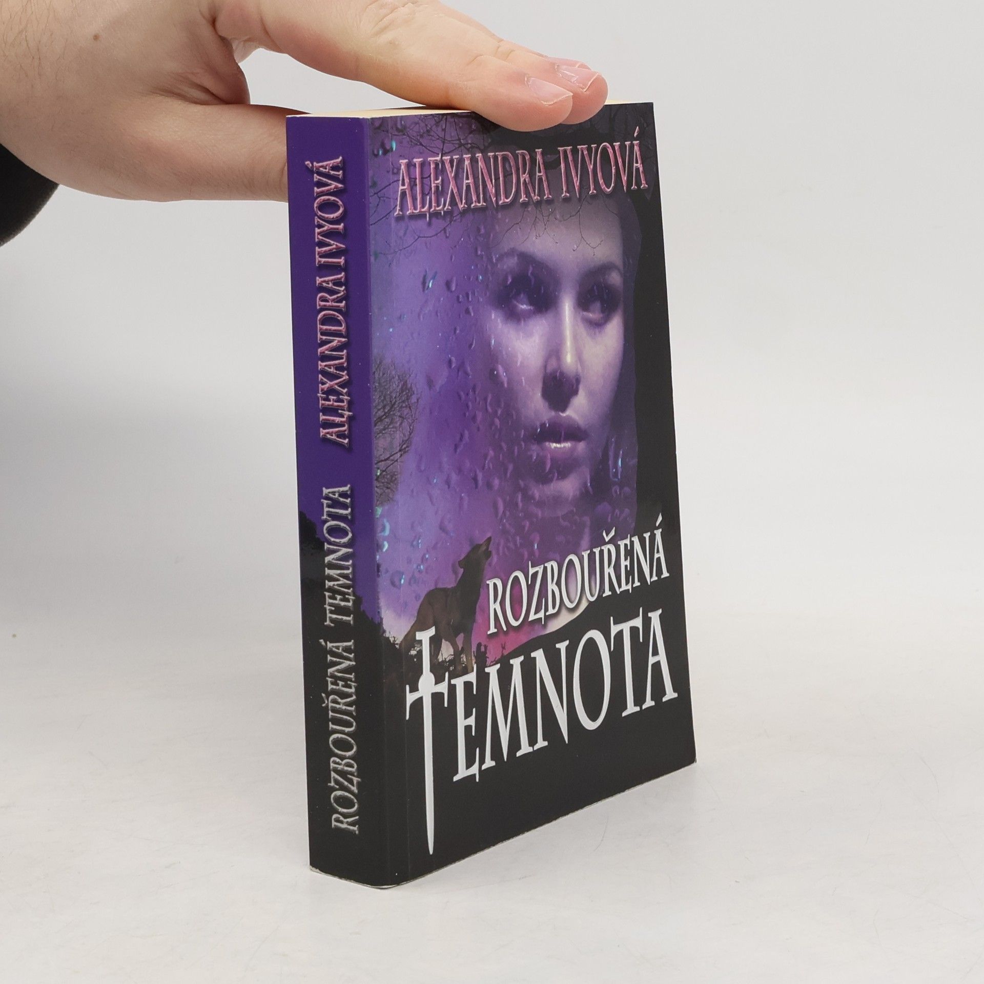 Alexandra Ivy Rozbouřená temnota