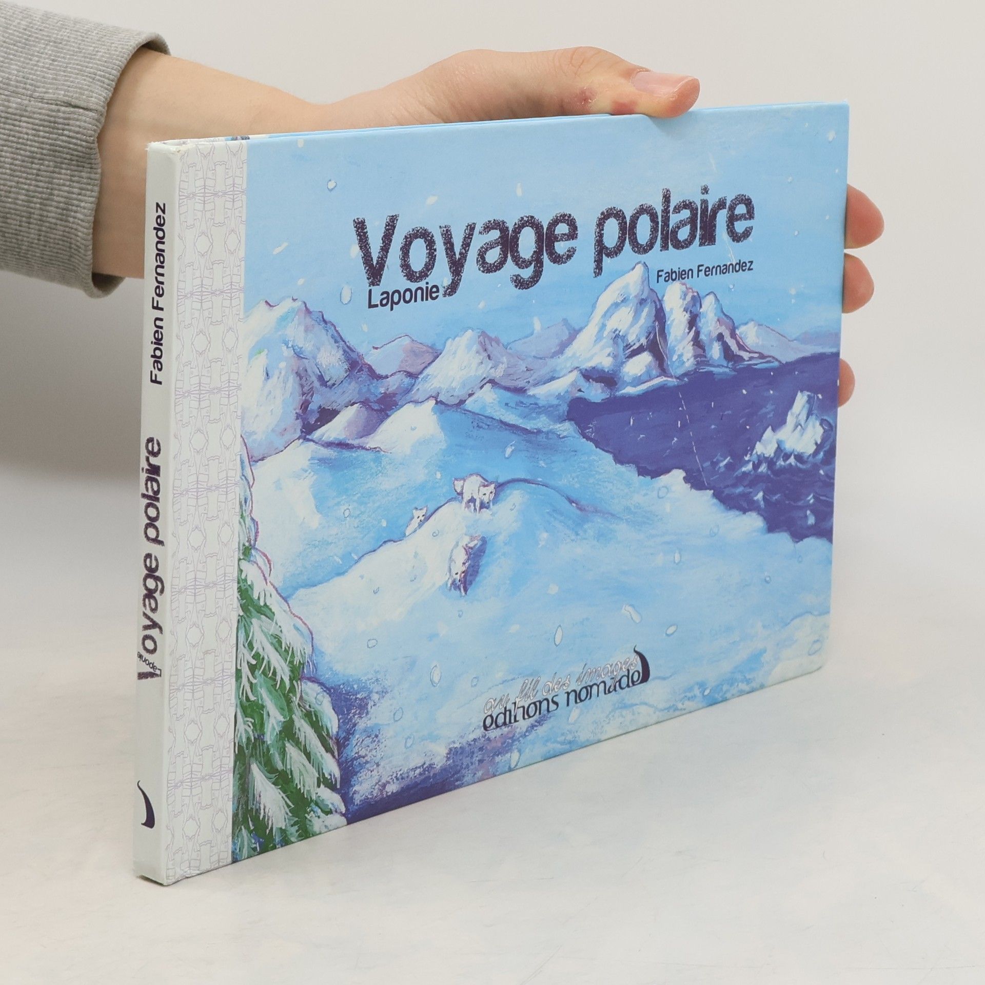 Fabien Fernandez Voyage polaire Laponie