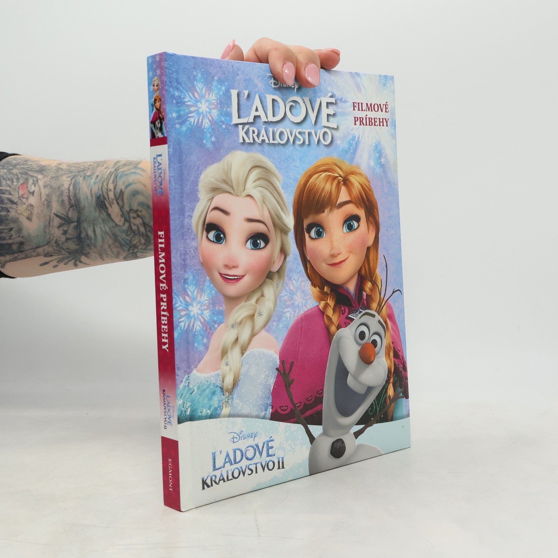 Autorenkollektiv Ľadové kráľovstvo