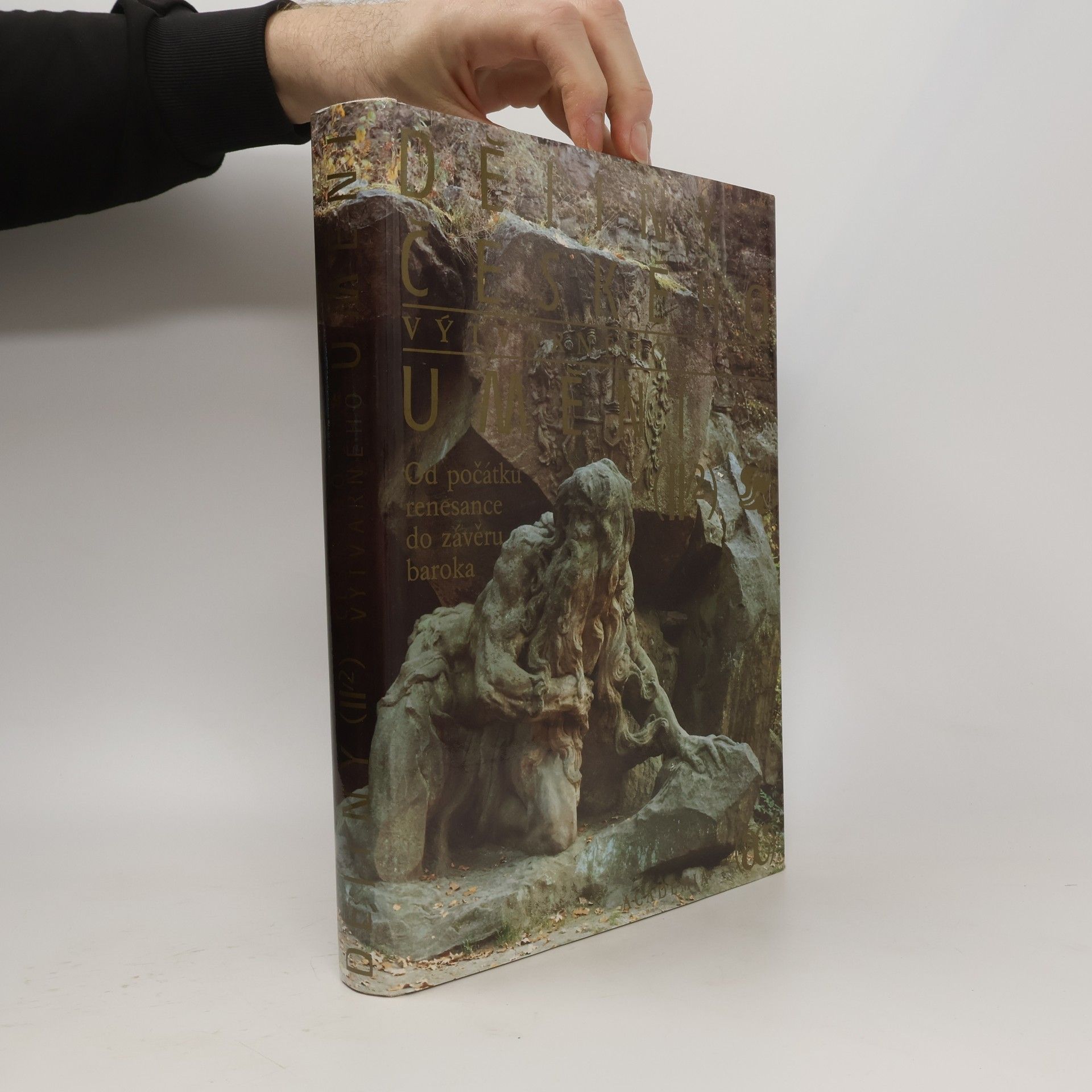 Jiří Dvorský Dějiny českého výtvarného umění II/2