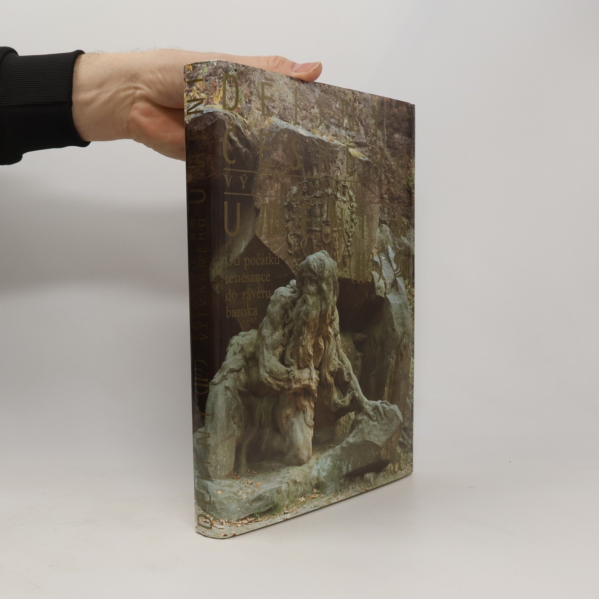 Collectif d'auteurs Dějiny českého výtvarného umění II/1