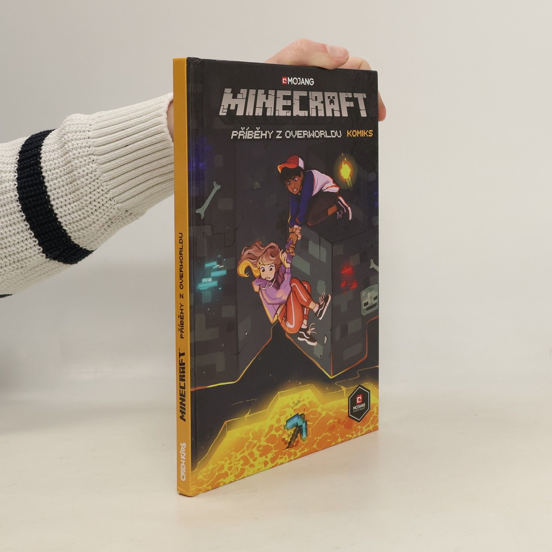 Filip Škába Minecraft. Příběhy z Overworldu