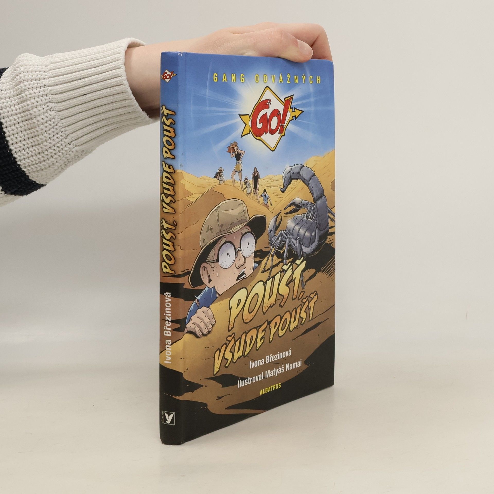 Ivona Březinová Poušť, všude poušť