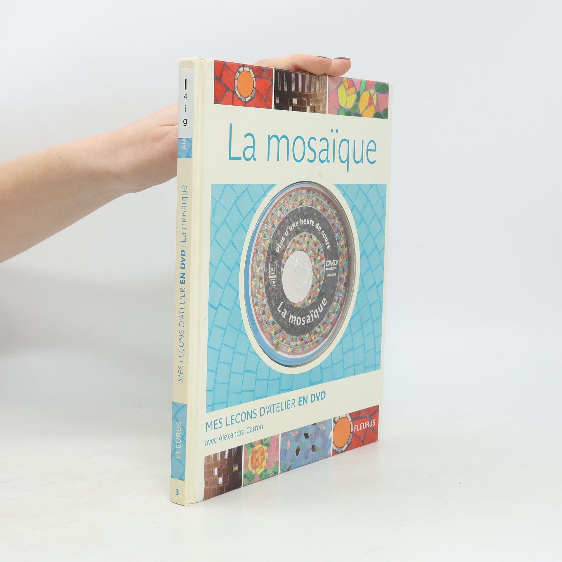Alexandra Carron La mosaïque: Mes leçons d'atelier en DVD