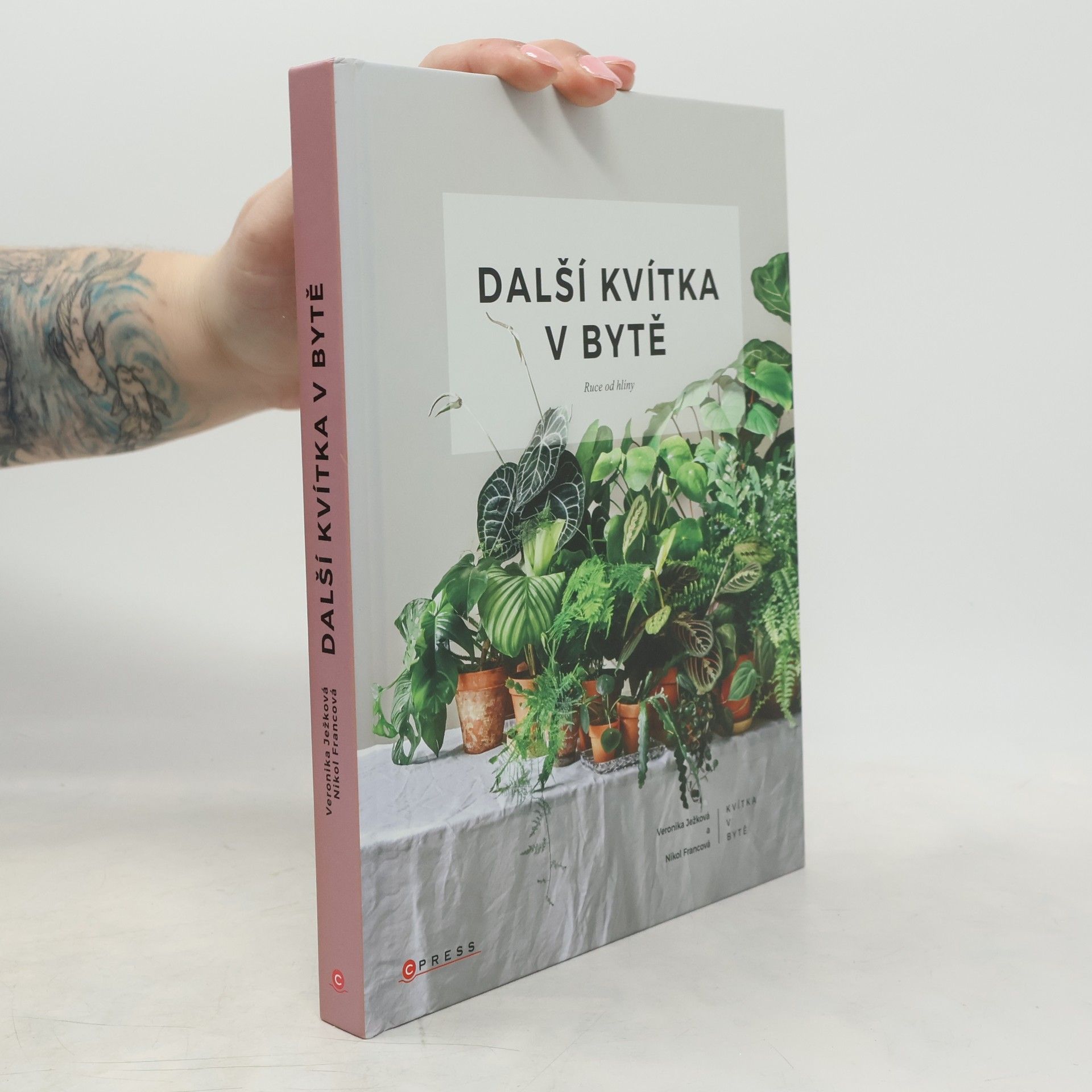 Veronika Ježková Další kvítka v bytě : Ruce od hlíny