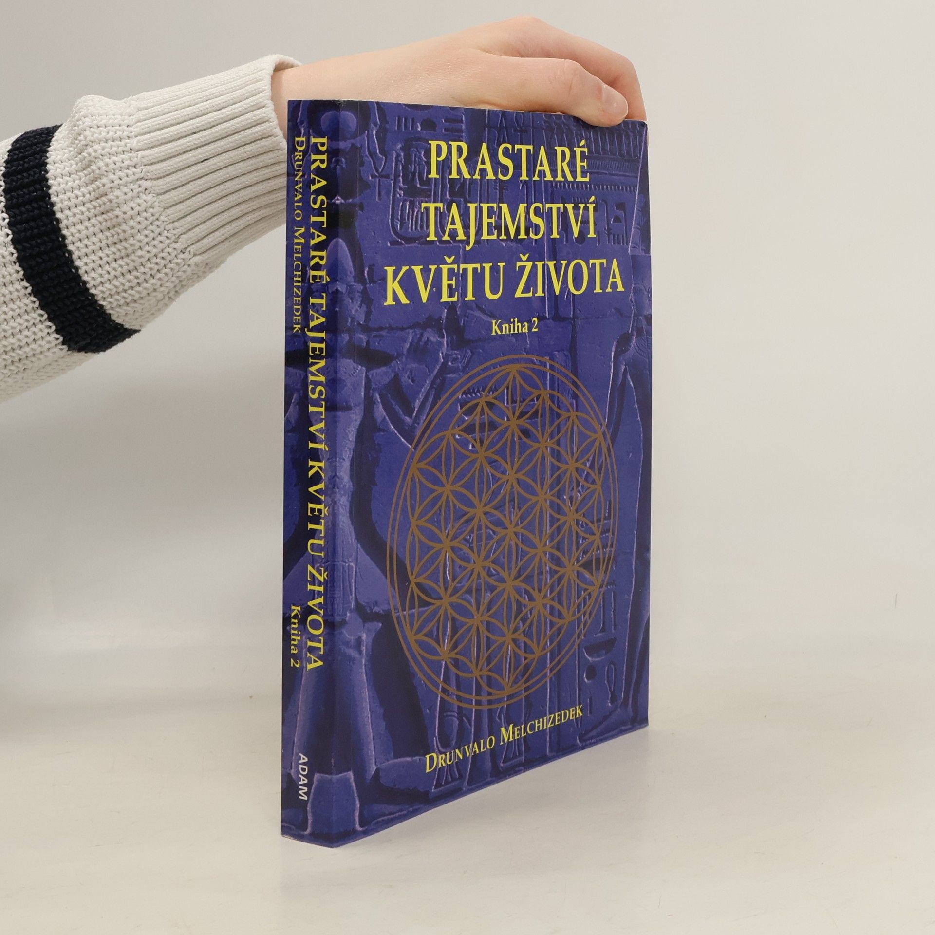 Petr Kobza Prastaré tajemství Květu života. 2. díl