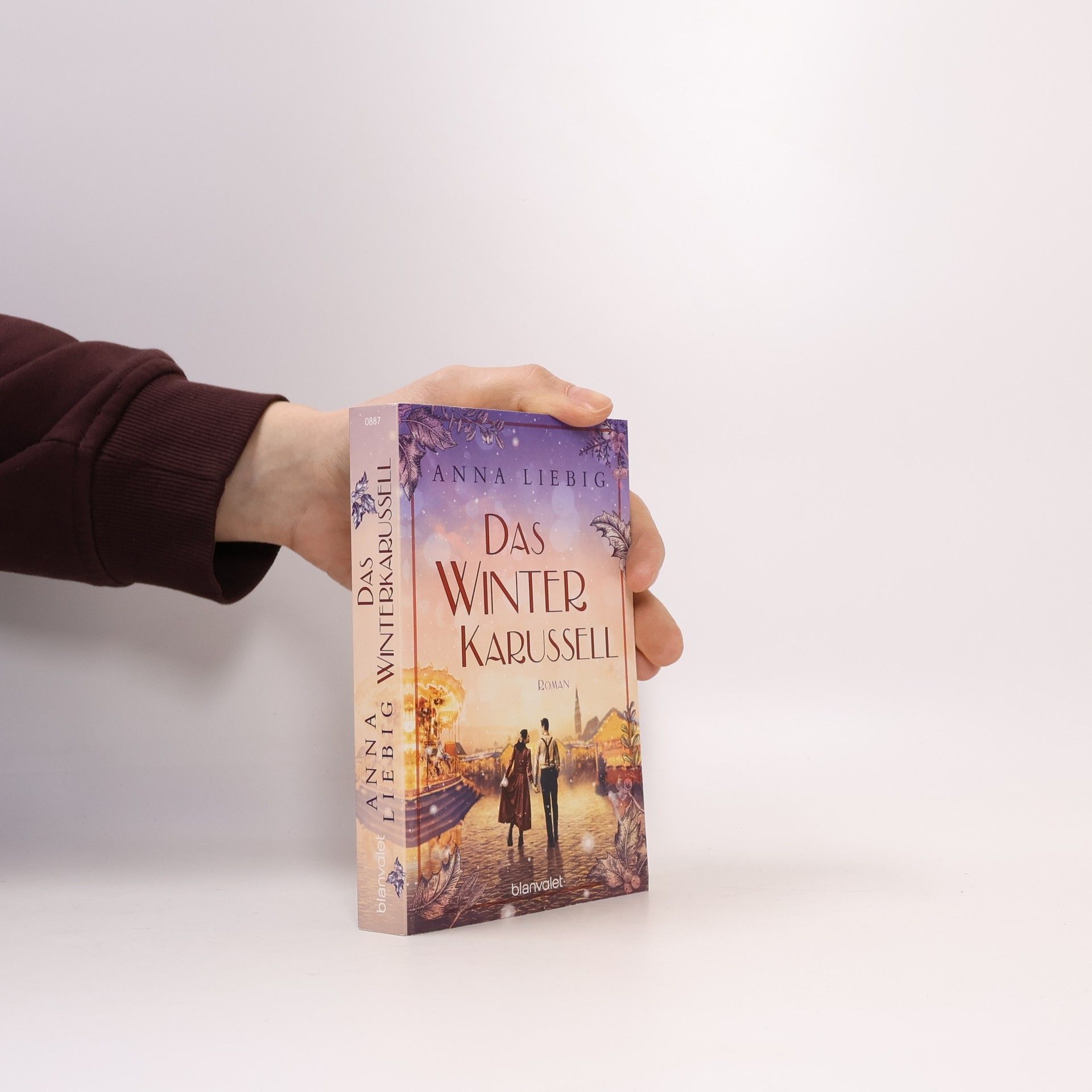 Anna Liebig Das winter karussell