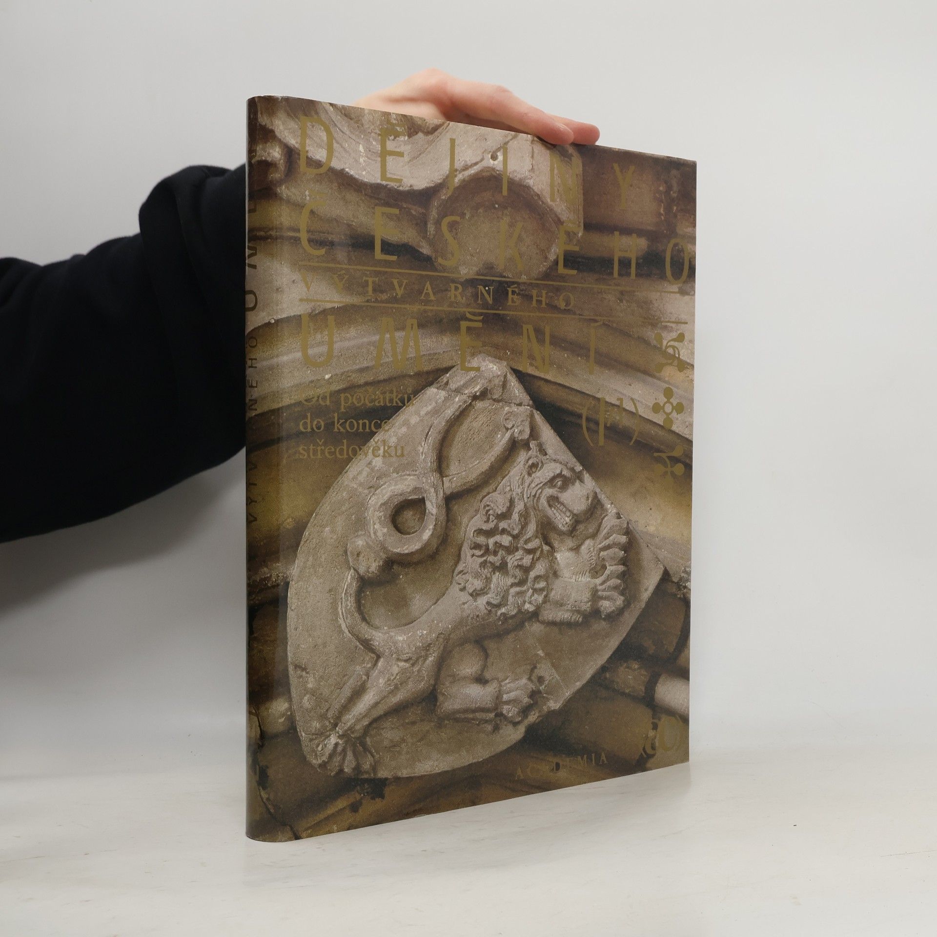 Kolektiv autorů Dějiny českého výtvarného umění I/1