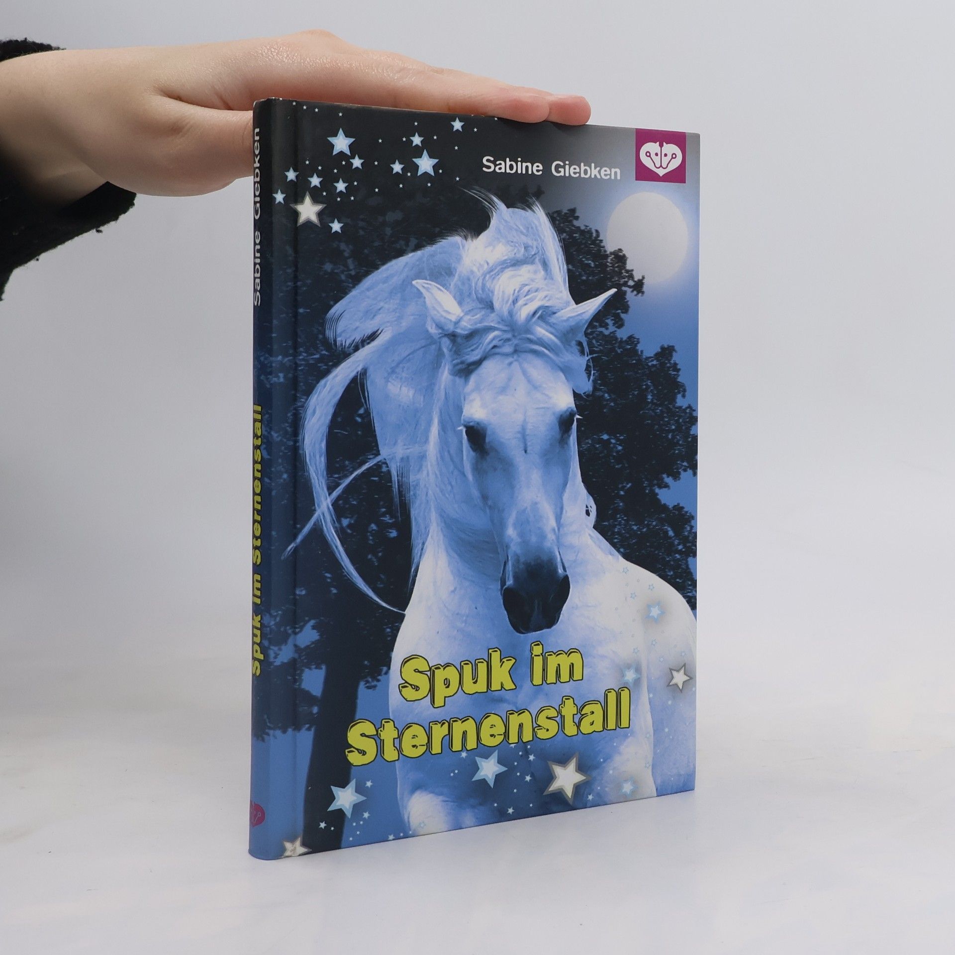 Sabine Giebken Spuk im Sternenstall