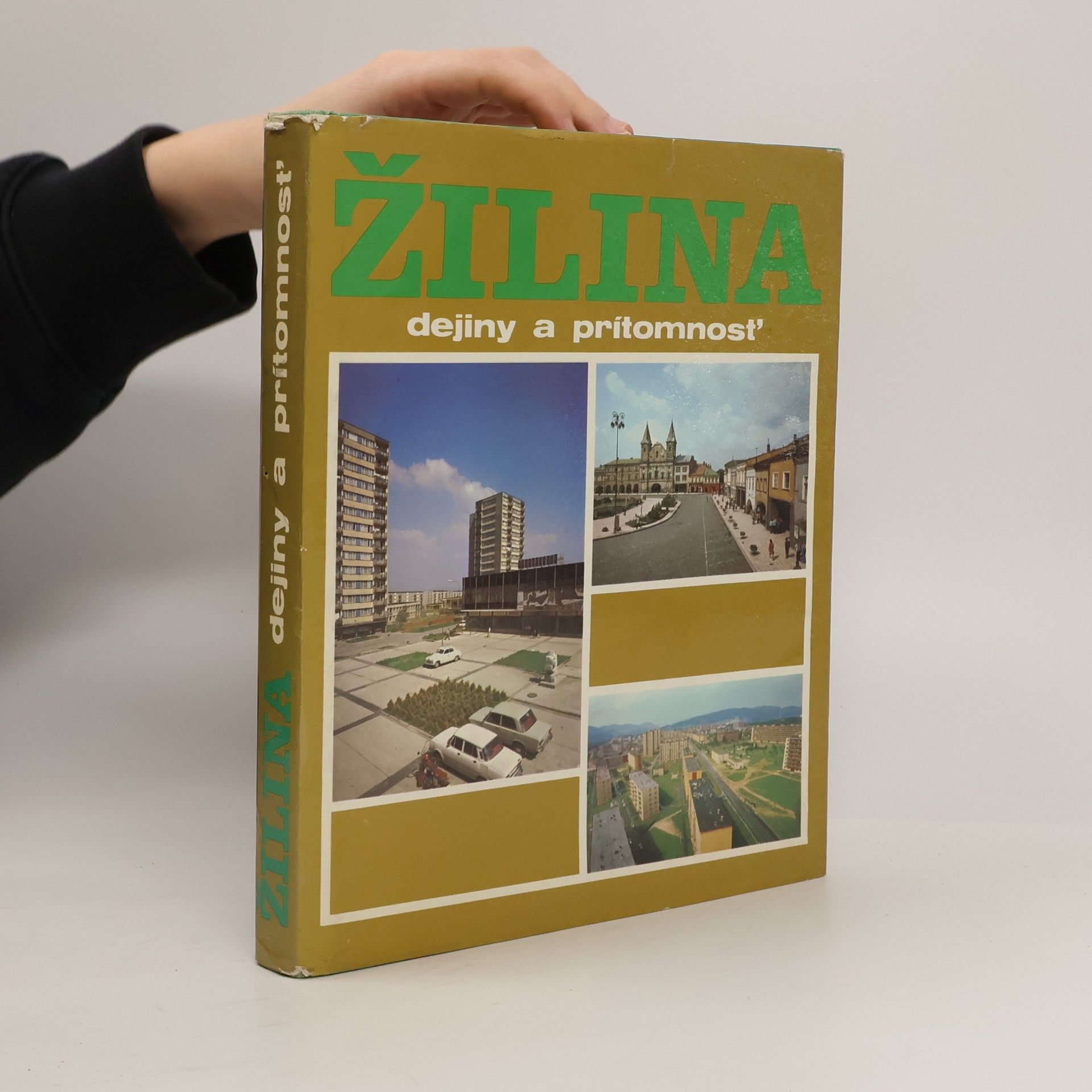 Dušan Halaj Žilina. Dejiny a prítomnosť